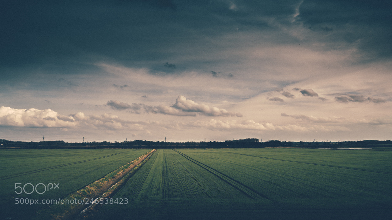 Sony a7R II sample photo. Fen landscape photography