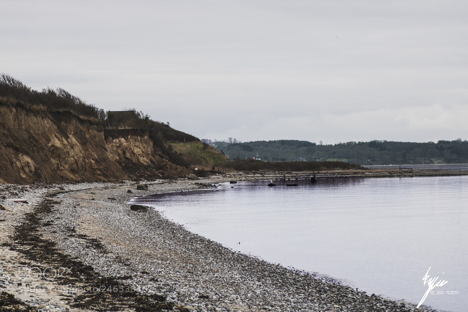 Canon EOS 750D (EOS Rebel T6i / EOS Kiss X8i) sample photo. The mermaid home #3 photography