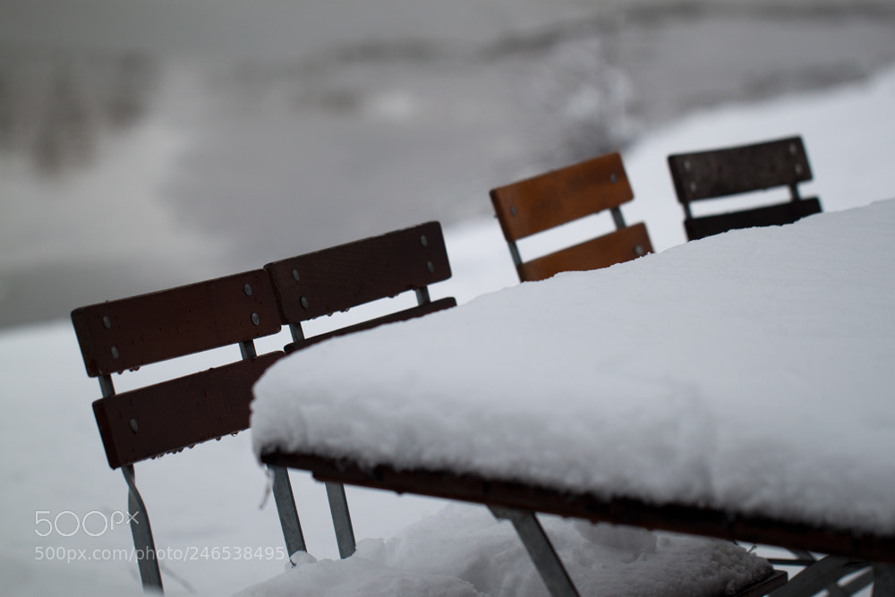 Canon EOS 500D (EOS Rebel T1i / EOS Kiss X3) sample photo. Waiting for summer i photography
