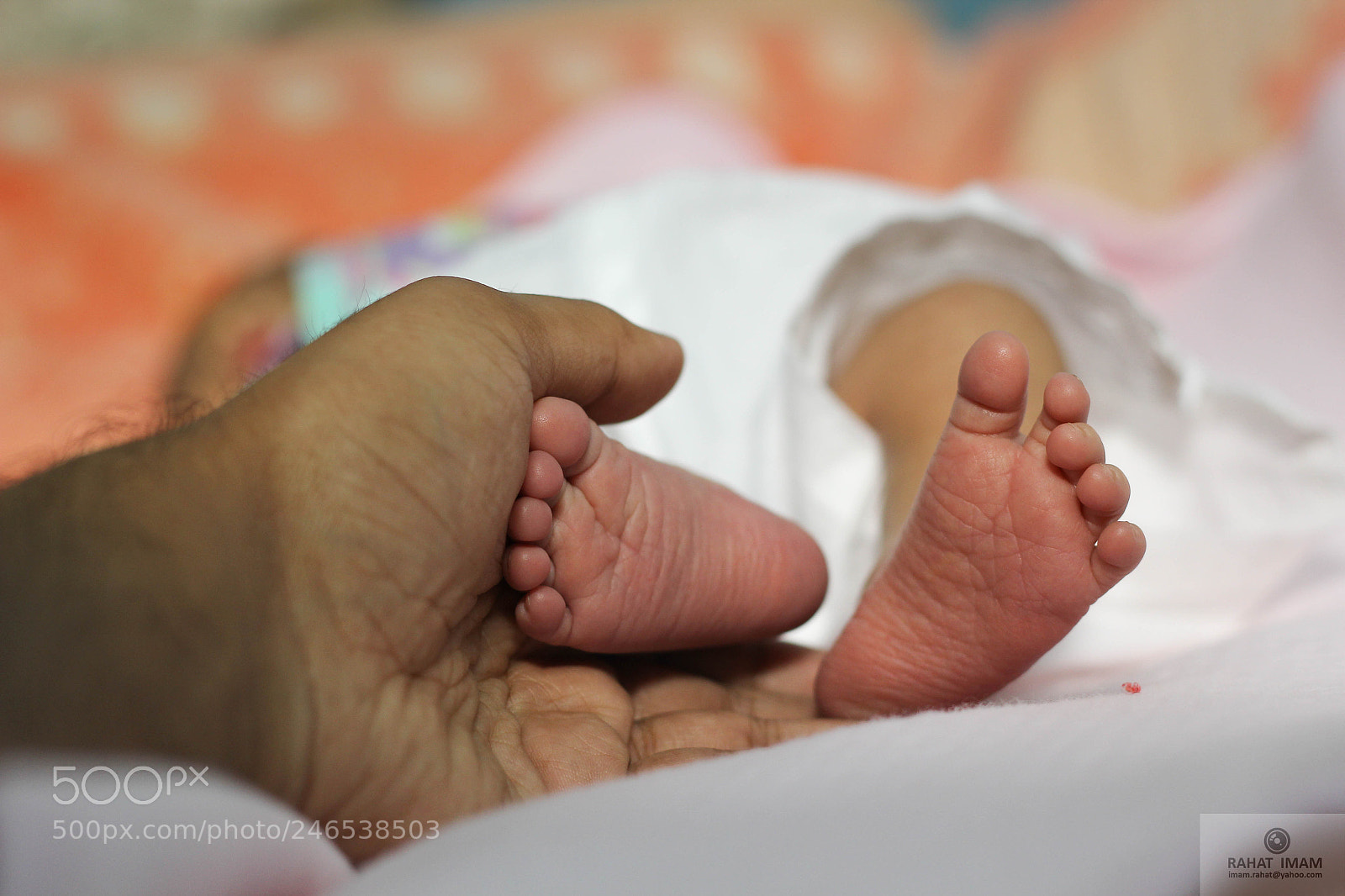 Canon EOS 60D sample photo. Img photography