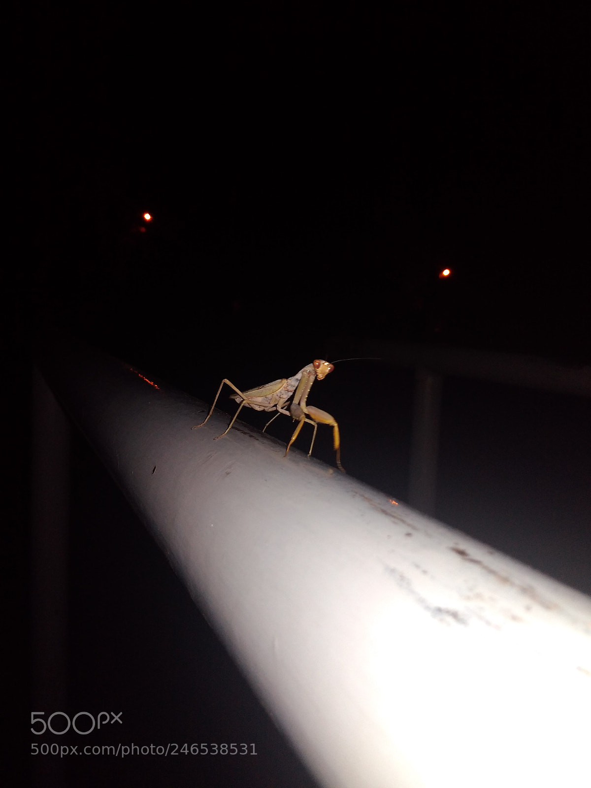 Xiaomi Redmi 4A sample photo. Untitled photography