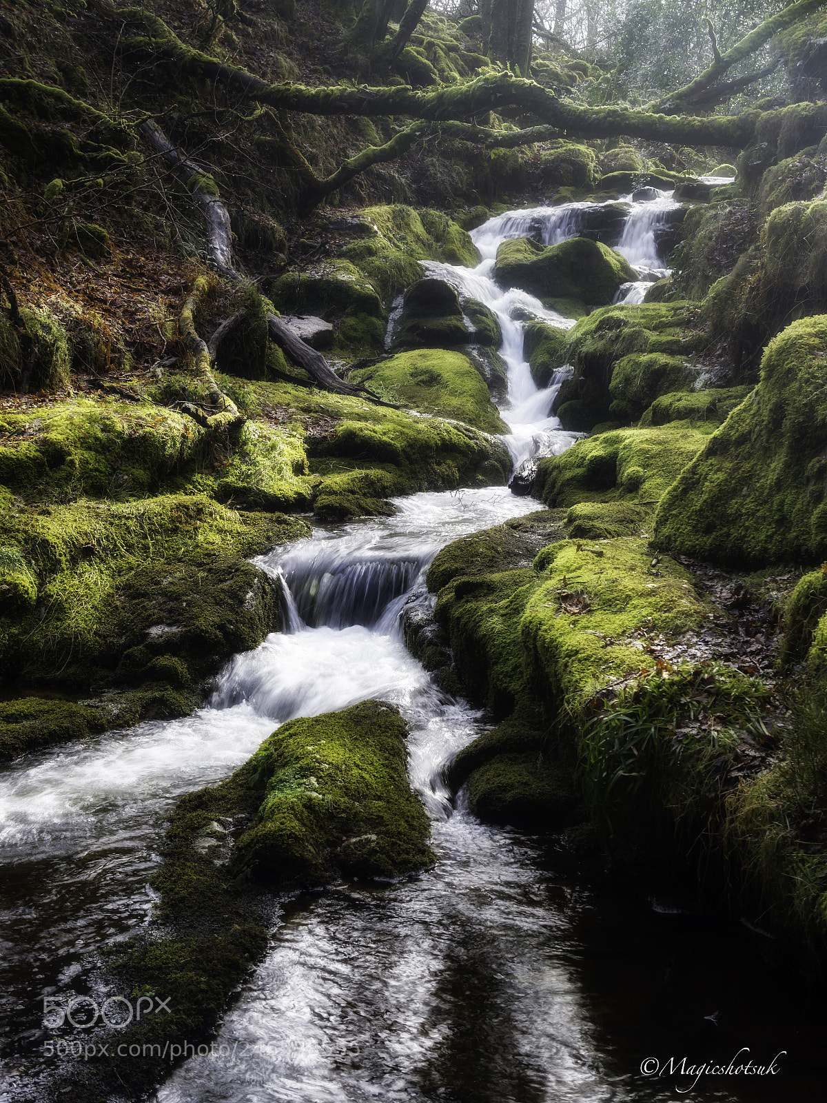 Olympus OM-D E-M1 Mark II sample photo. Dartmoor flow photography
