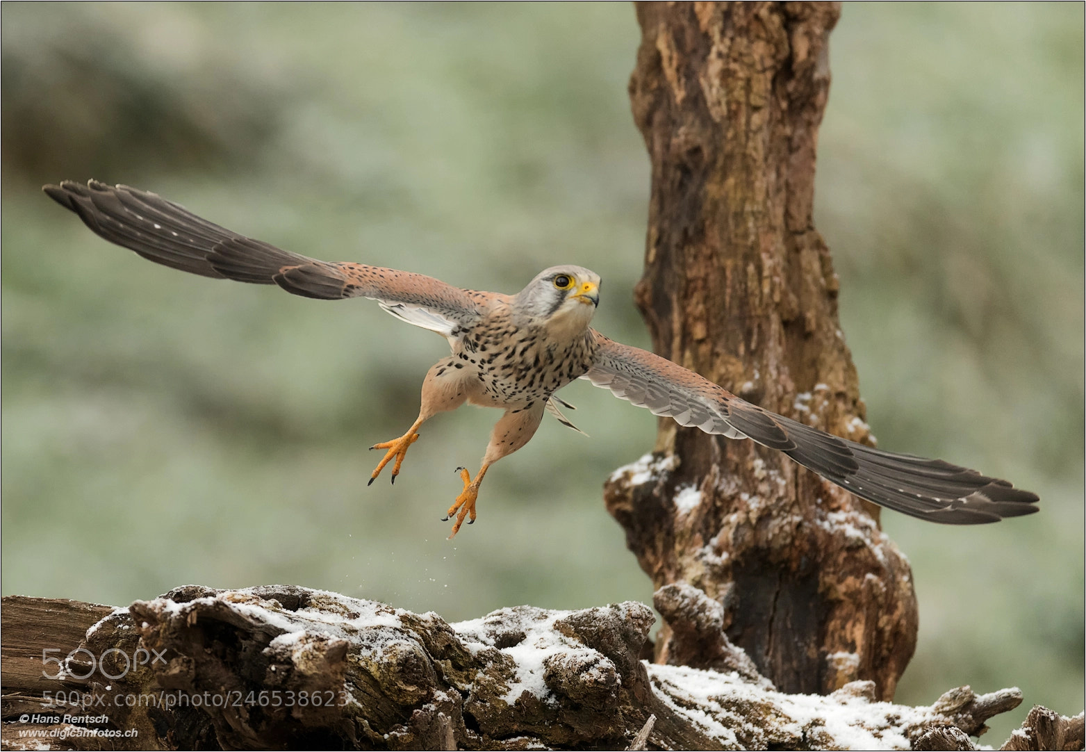 Nikon D850 sample photo. Abflug.... photography