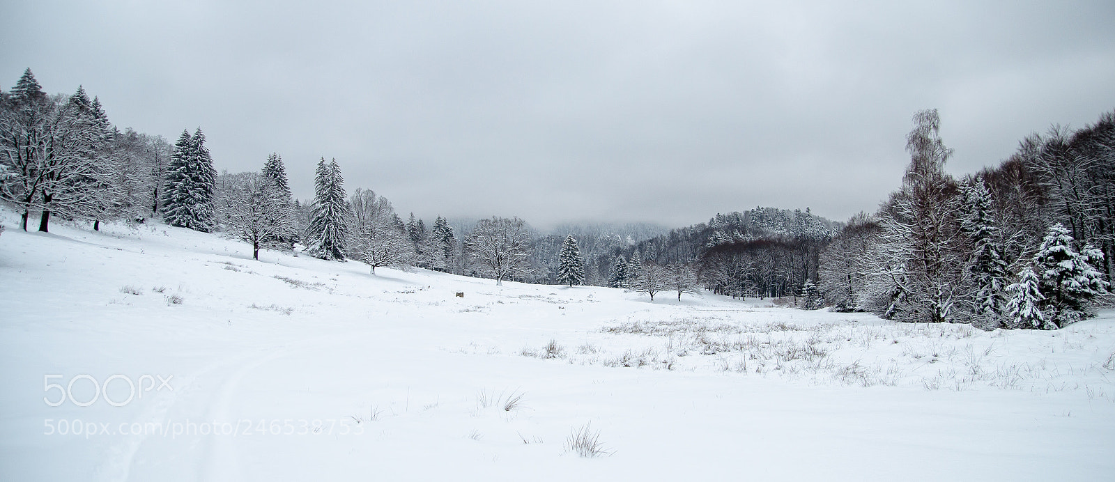 Nikon D5100 sample photo. Winter scene photography