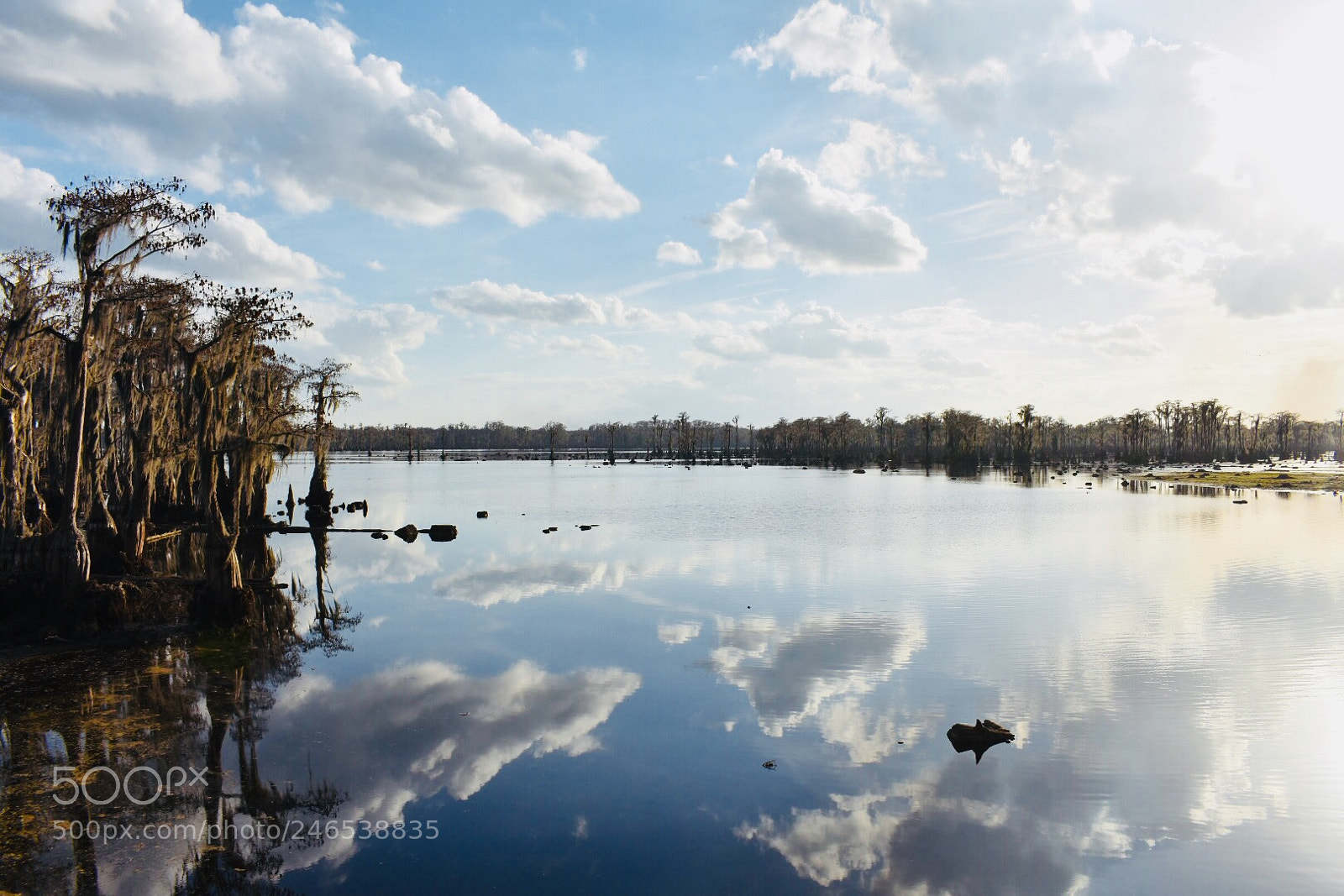 Nikon D7200 sample photo. Lakeland photography