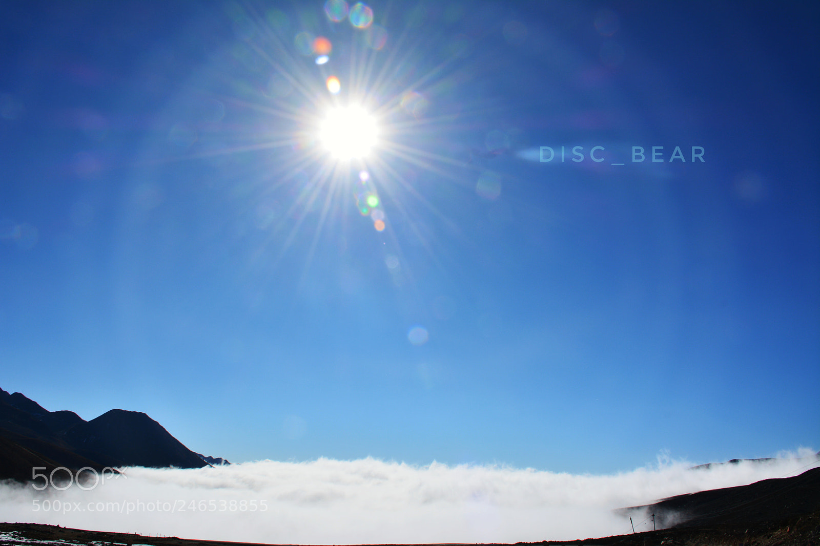 Nikon D5200 sample photo. Untitled photography