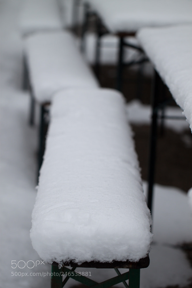 Canon EOS 500D (EOS Rebel T1i / EOS Kiss X3) sample photo. Waiting for summer ii photography