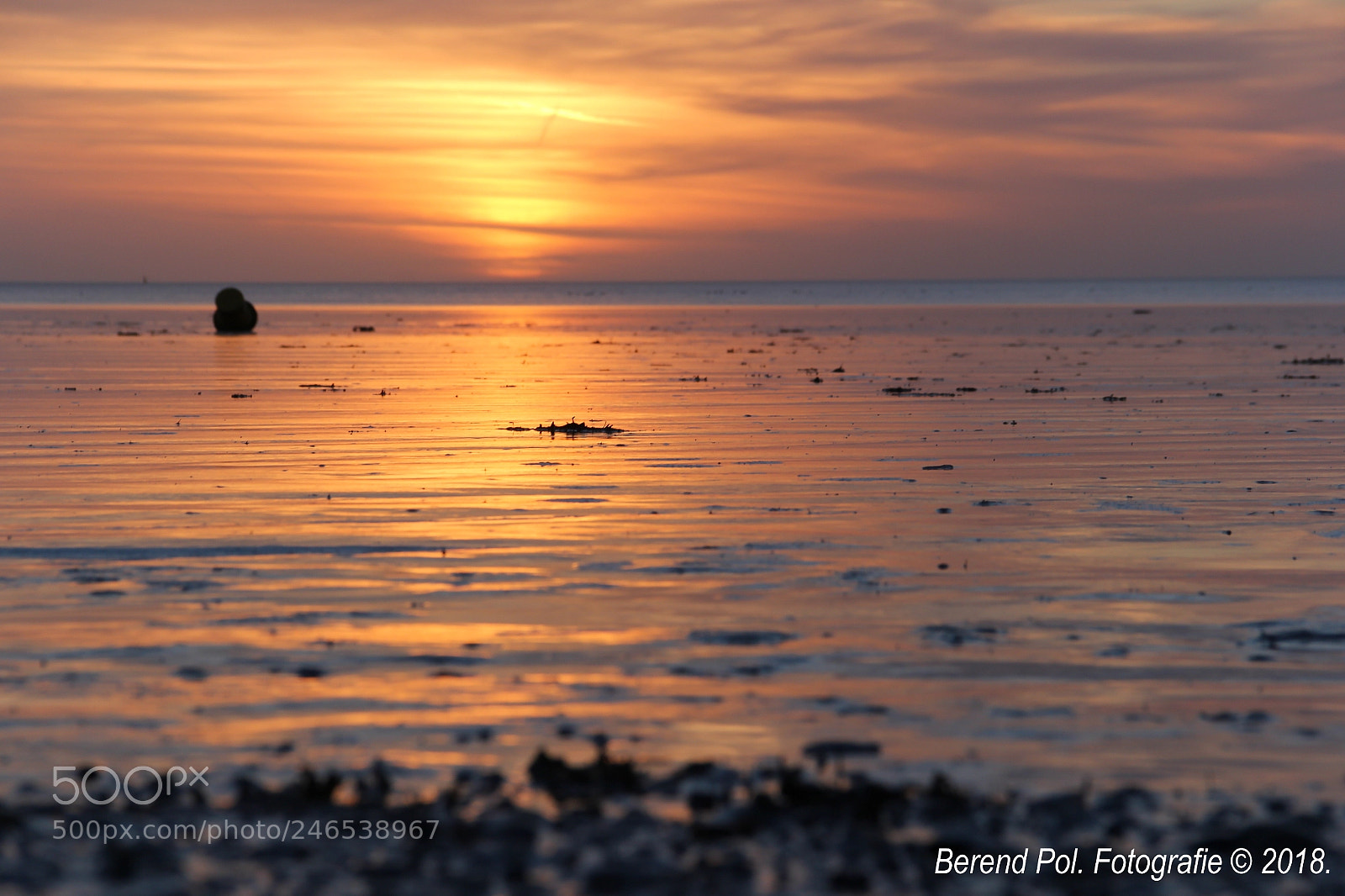 Canon EOS 60D sample photo. Waddenzee photography