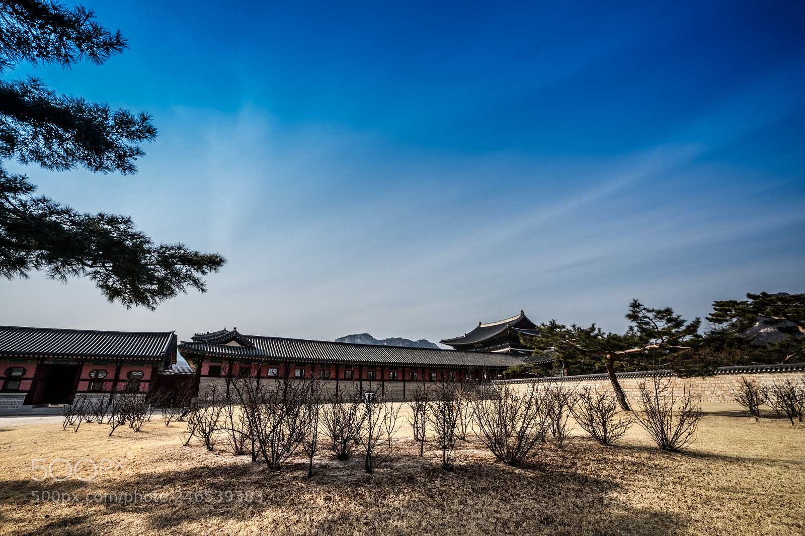 Sony a7 II sample photo. Gyeongbok photography