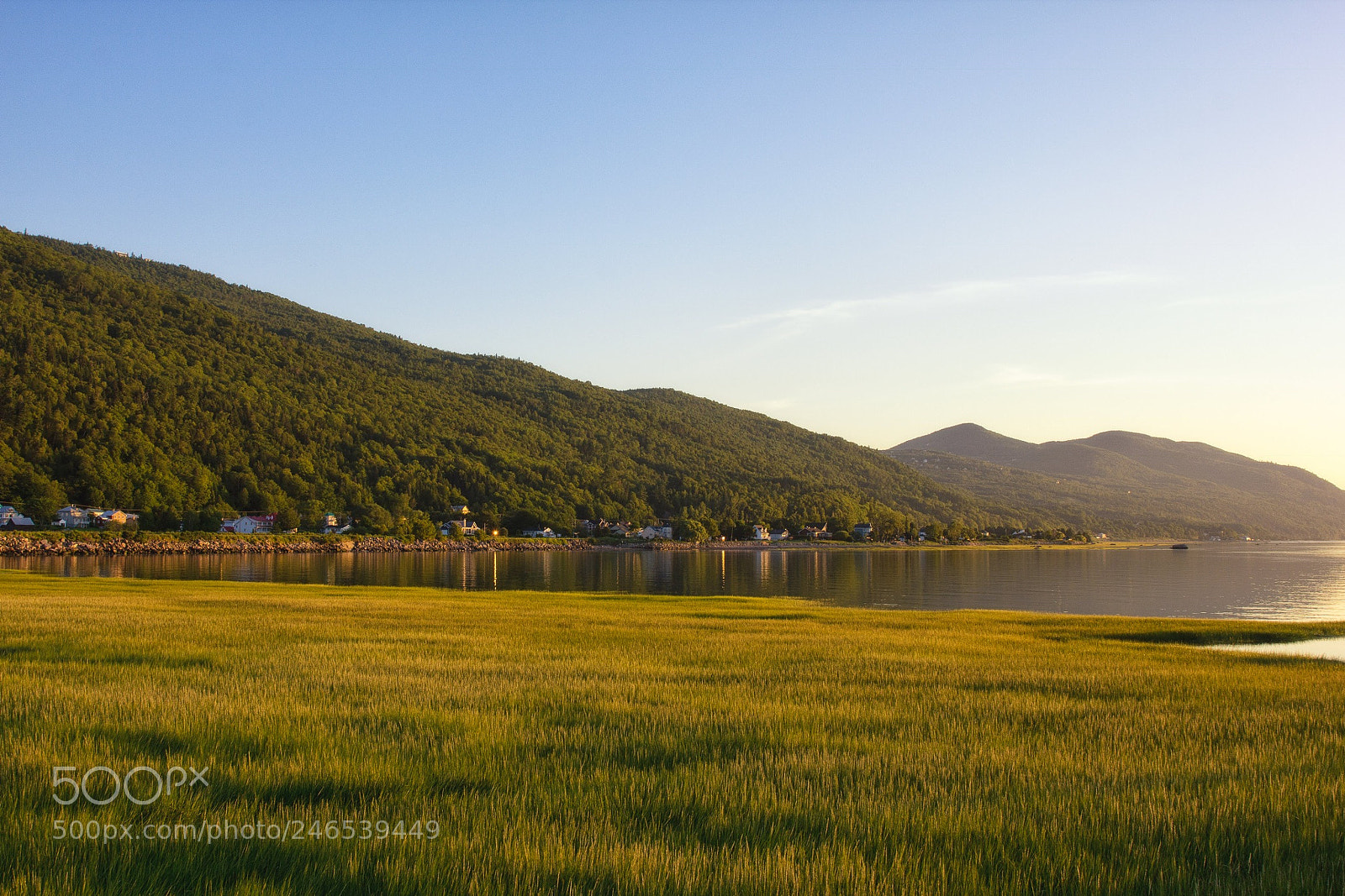 Canon EOS 60D sample photo. Wake up and cease photography