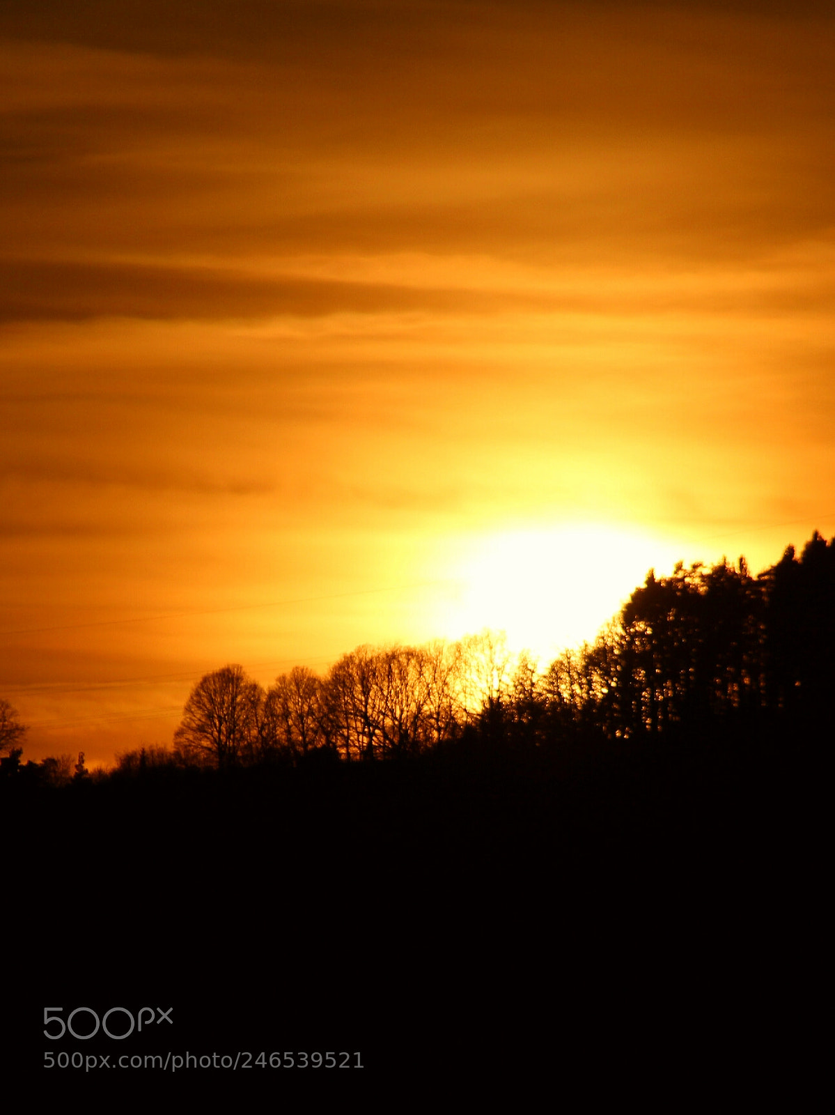Canon EOS 1300D (EOS Rebel T6 / EOS Kiss X80) sample photo. Sundown bebra photography