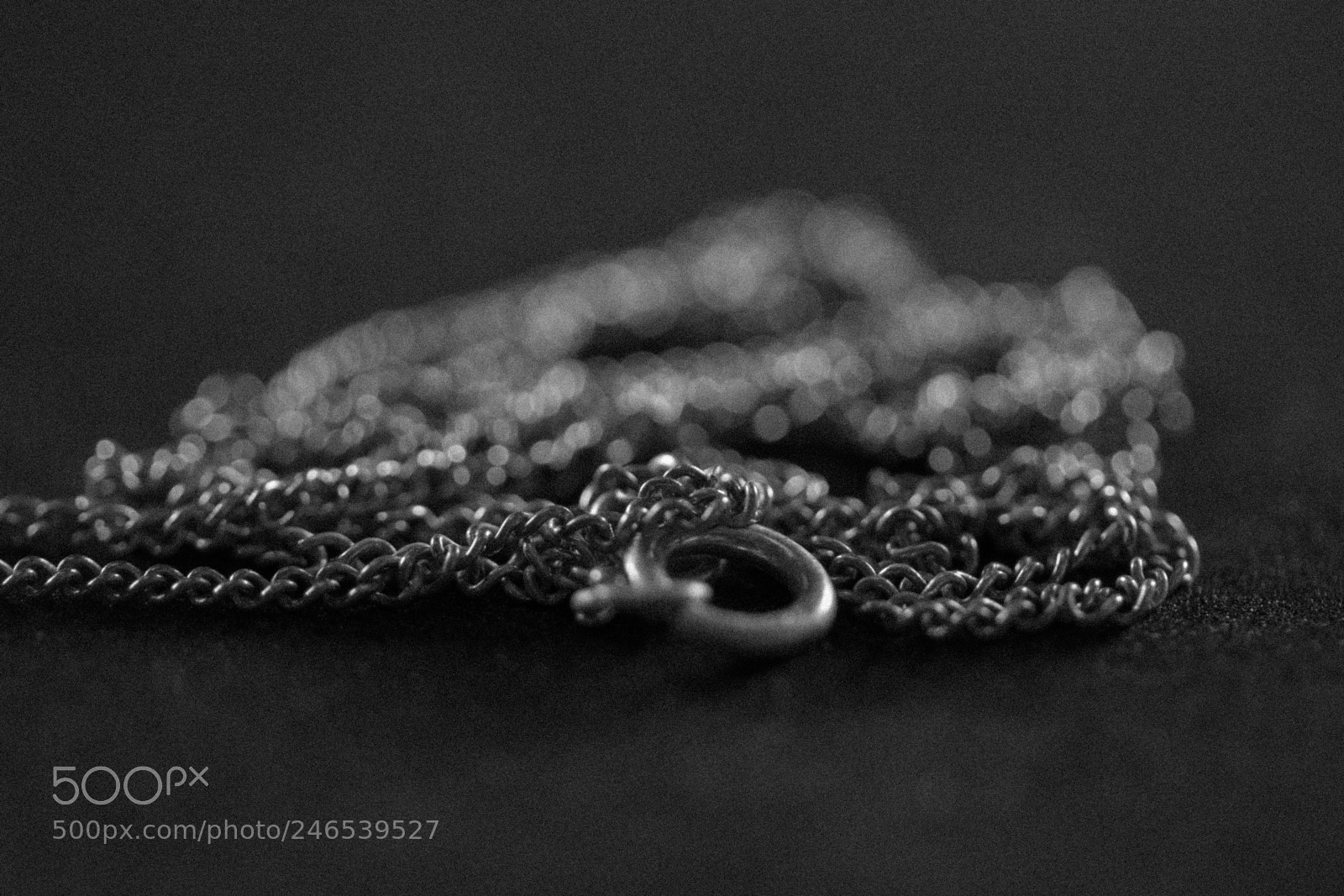 Canon EOS 77D (EOS 9000D / EOS 770D) sample photo. Silver chain photography