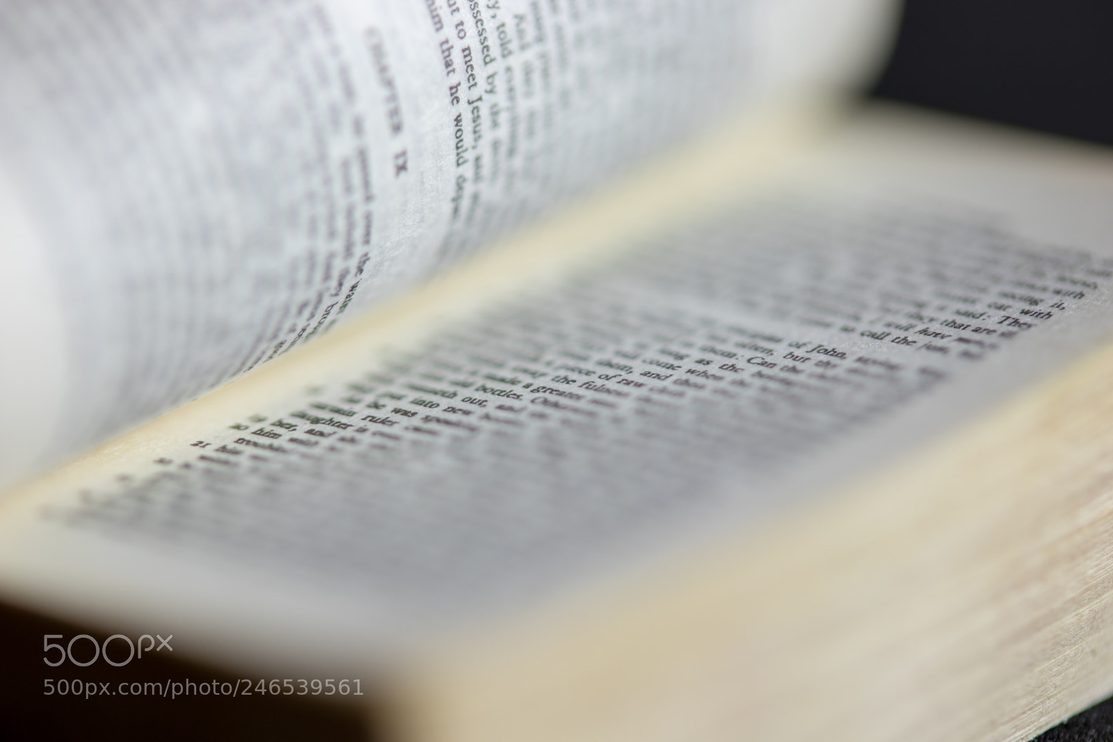 Canon EOS 77D (EOS 9000D / EOS 770D) sample photo. Miniature book photography