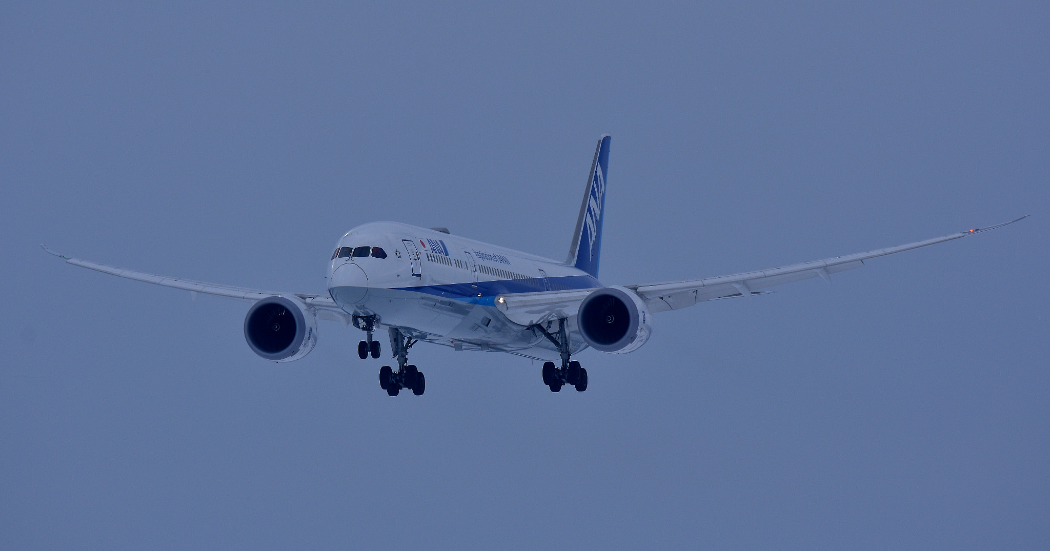 Sigma 150-600mm F5-6.3 DG OS HSM | C sample photo. Clear to land photography