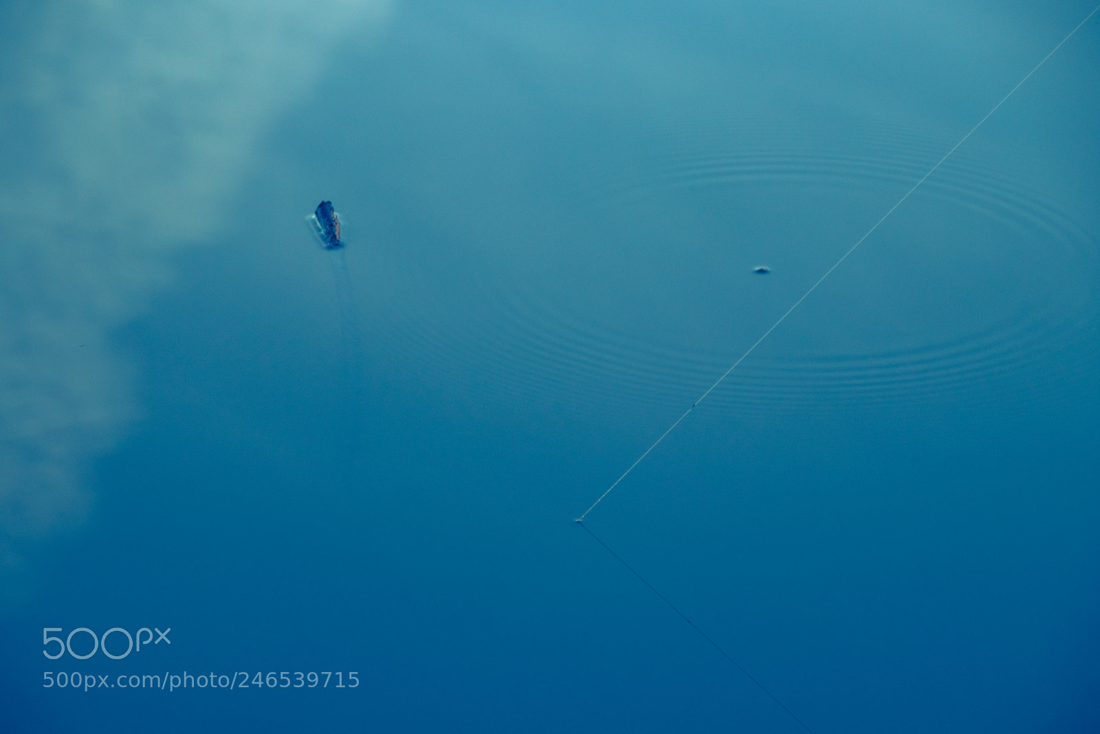 Canon EOS 77D (EOS 9000D / EOS 770D) sample photo. Shapes in water photography