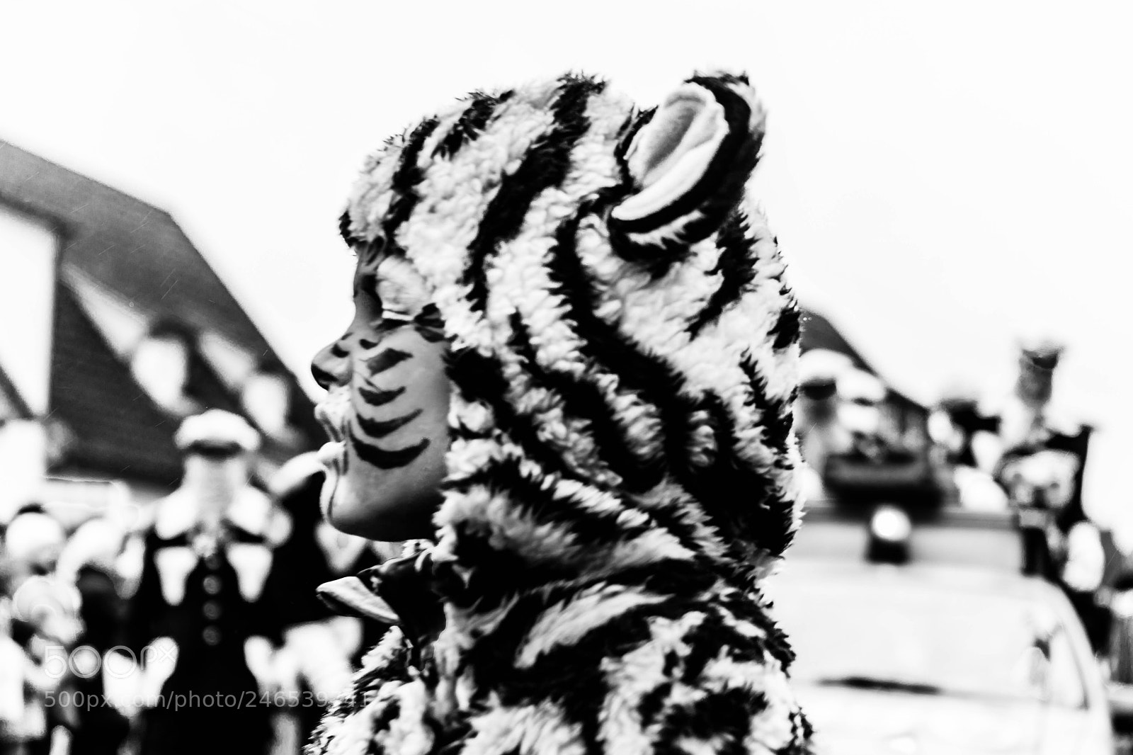 Sony a7 sample photo. Tiger photography
