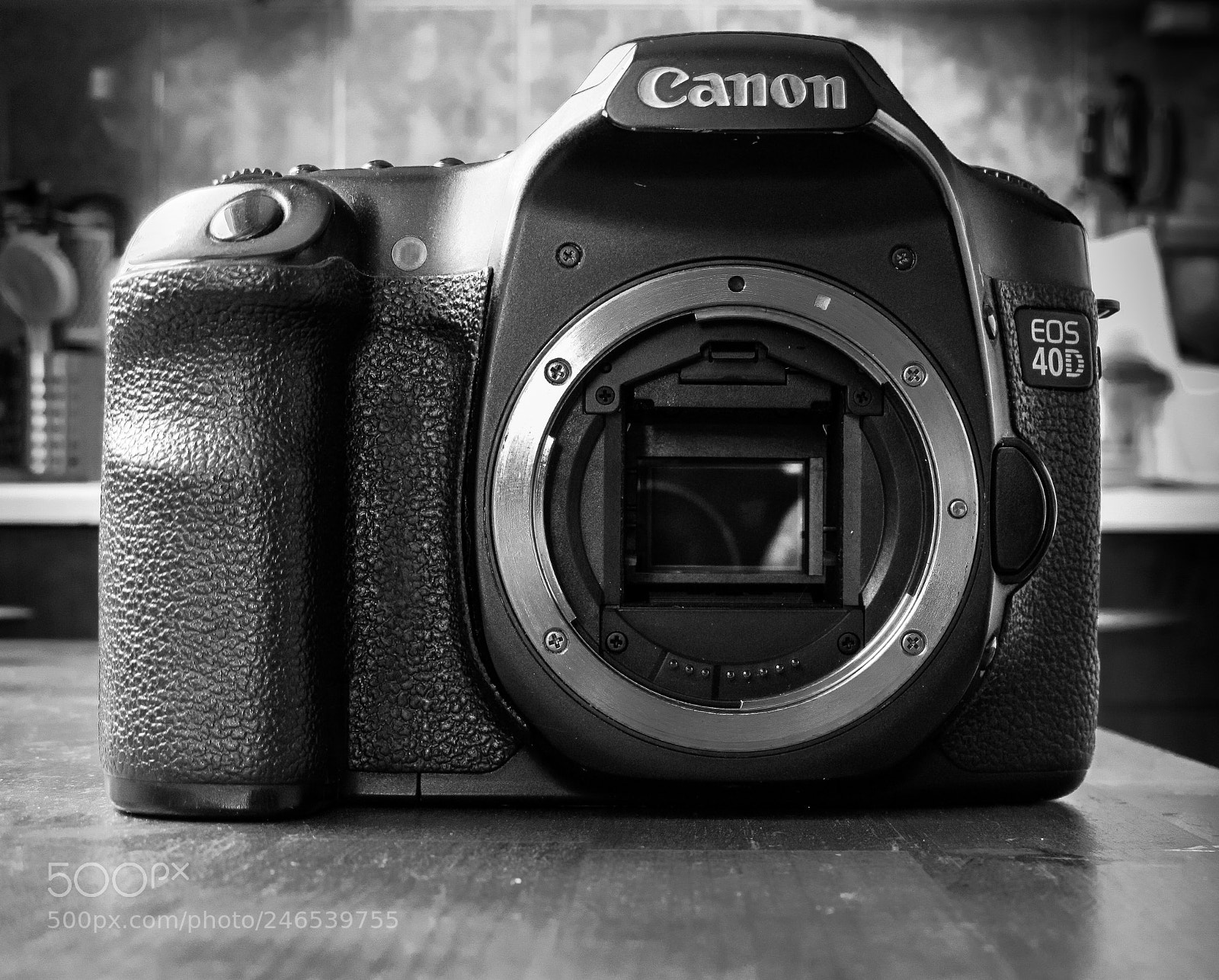 Canon PowerShot SX150 IS sample photo. Canon eos 40d photography