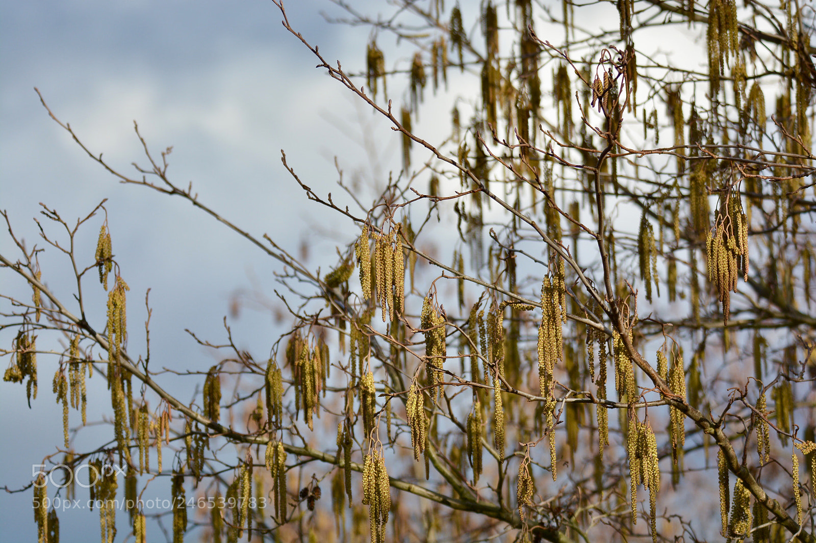 Nikon D7100 sample photo. Untitled photography