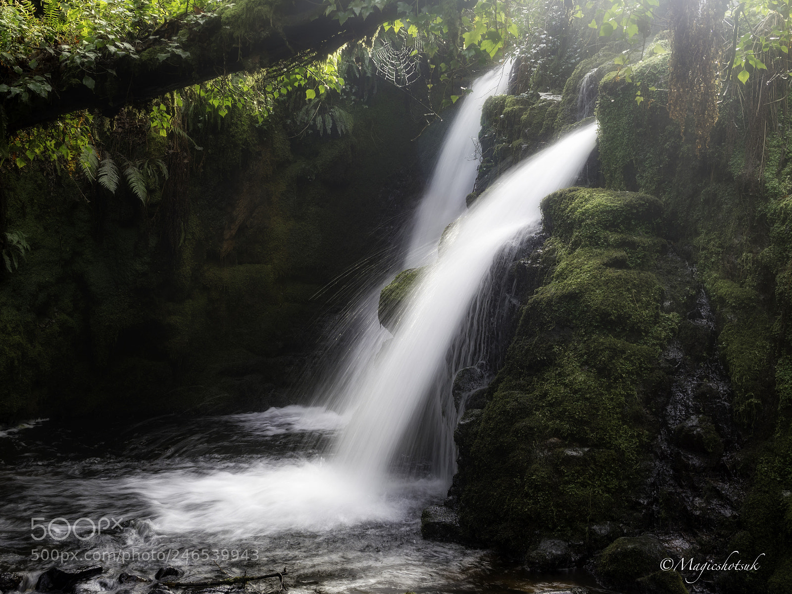 Olympus OM-D E-M1 Mark II sample photo. Venford falls photography