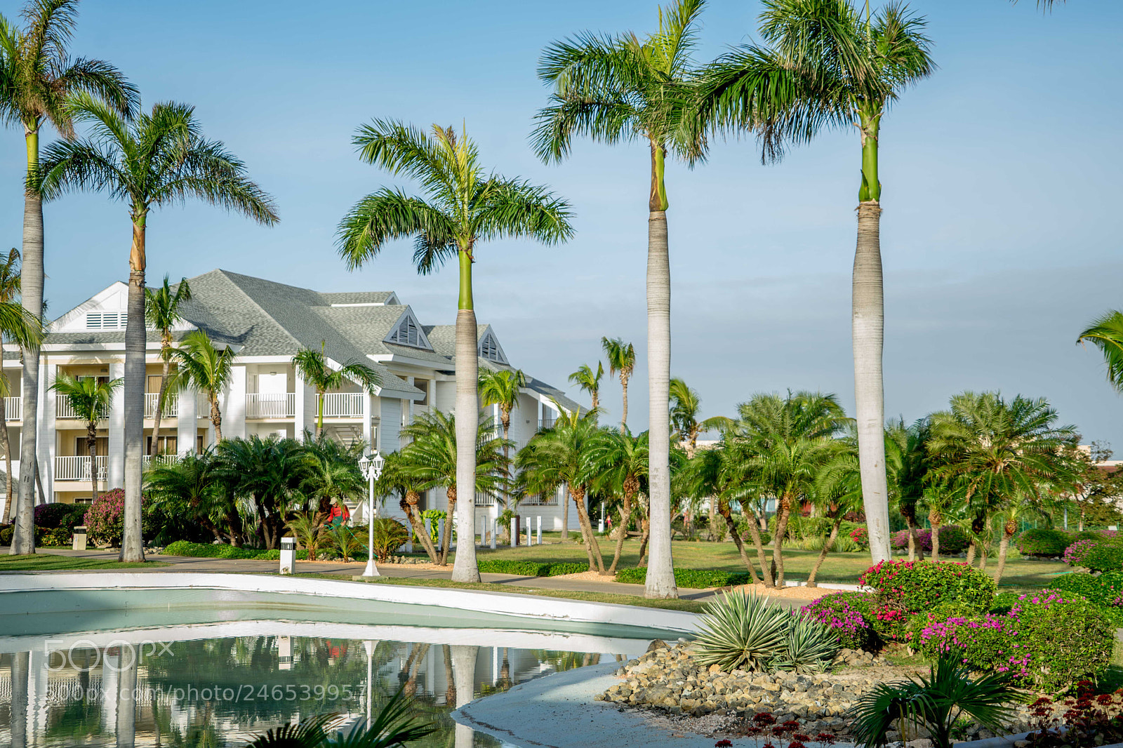 Sony a7 II sample photo. One week paradise... photography