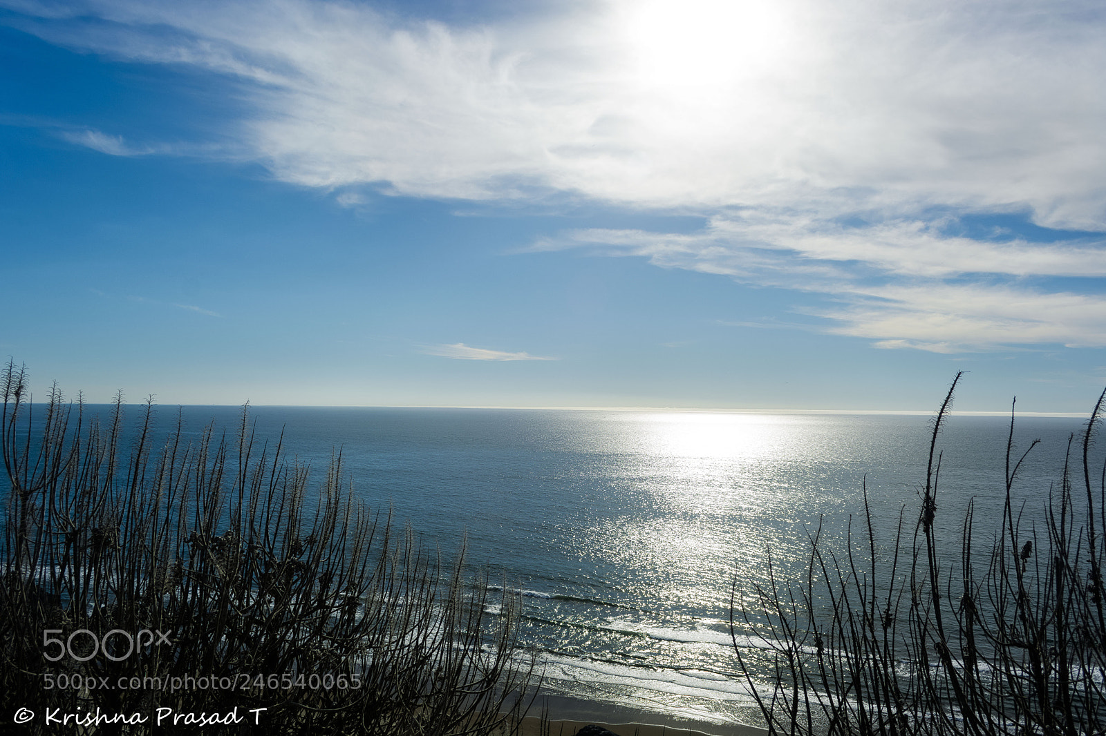 Nikon D7100 sample photo. Blue photography