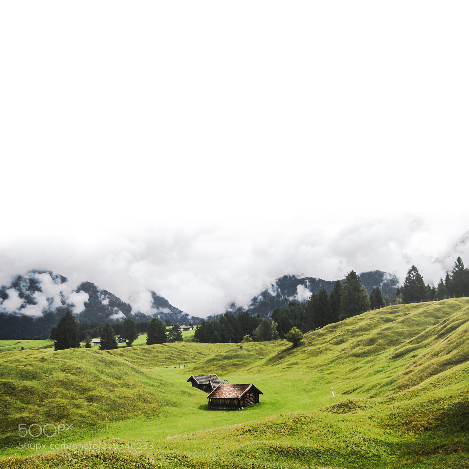 Canon EOS 50D sample photo. Beautiful green pasture in photography