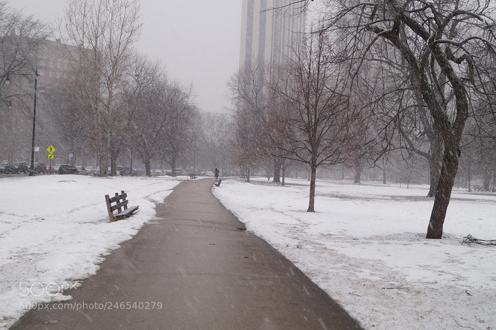 Sony SLT-A58 sample photo. Dsc photography