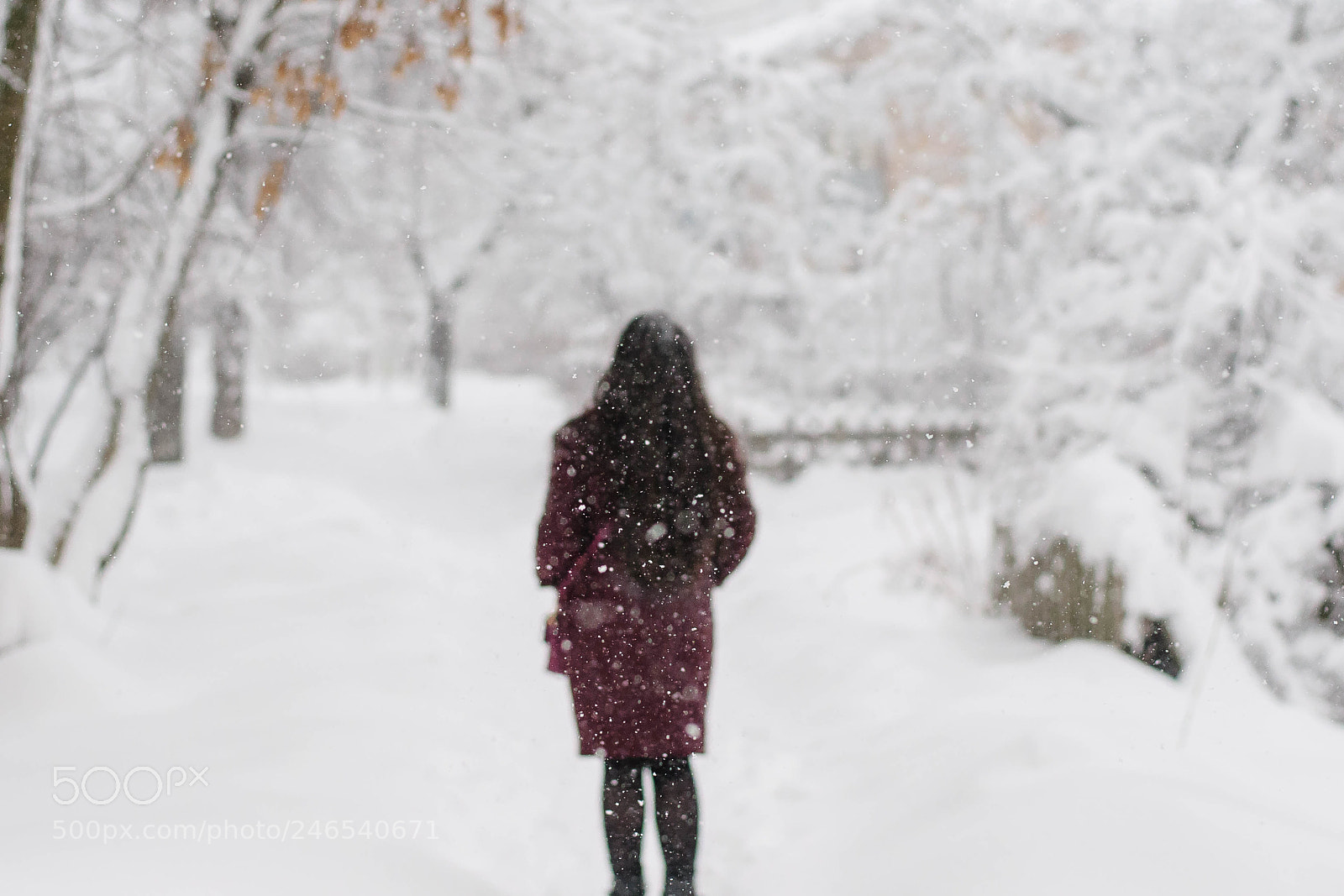 Nikon D300S sample photo. Snow in the city photography
