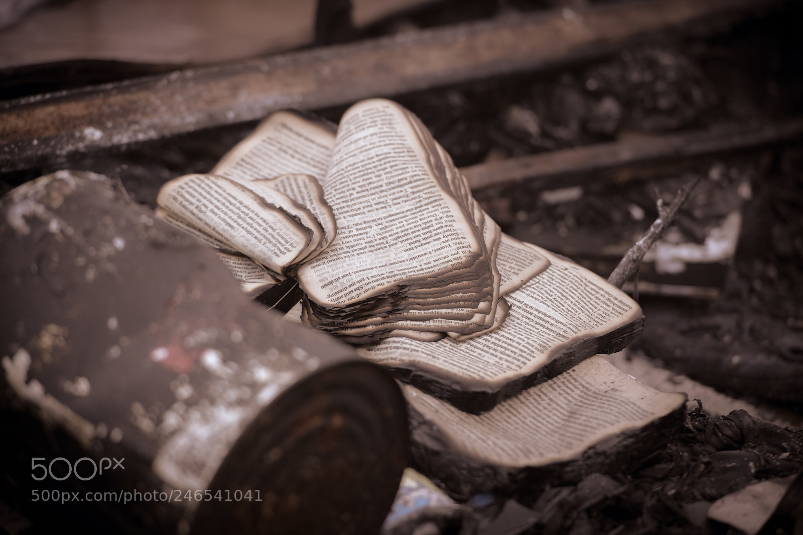 Nikon D850 sample photo. Burnt book photography