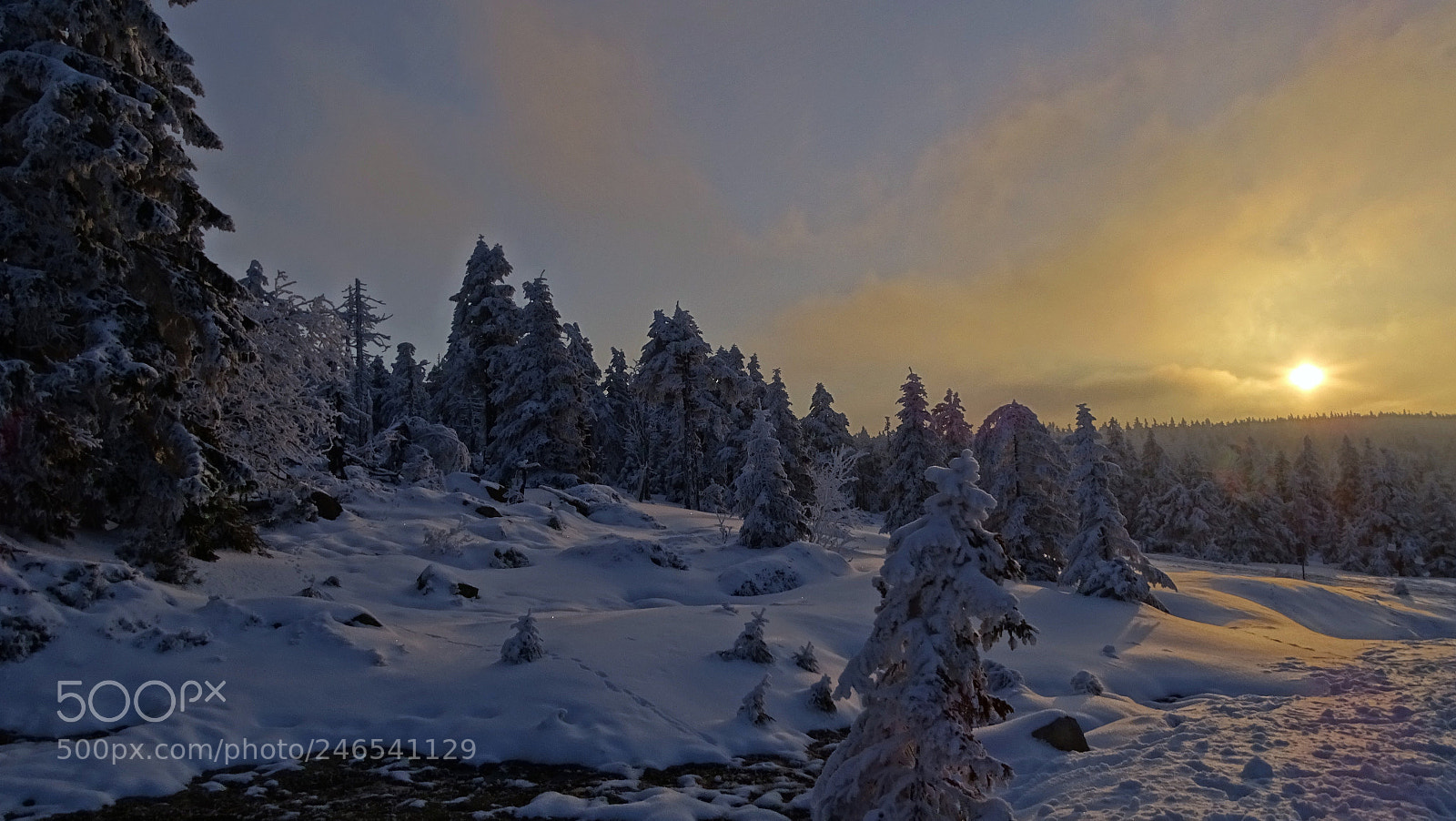 Sony Cyber-shot DSC-HX400V sample photo. Sonnenaufgang photography