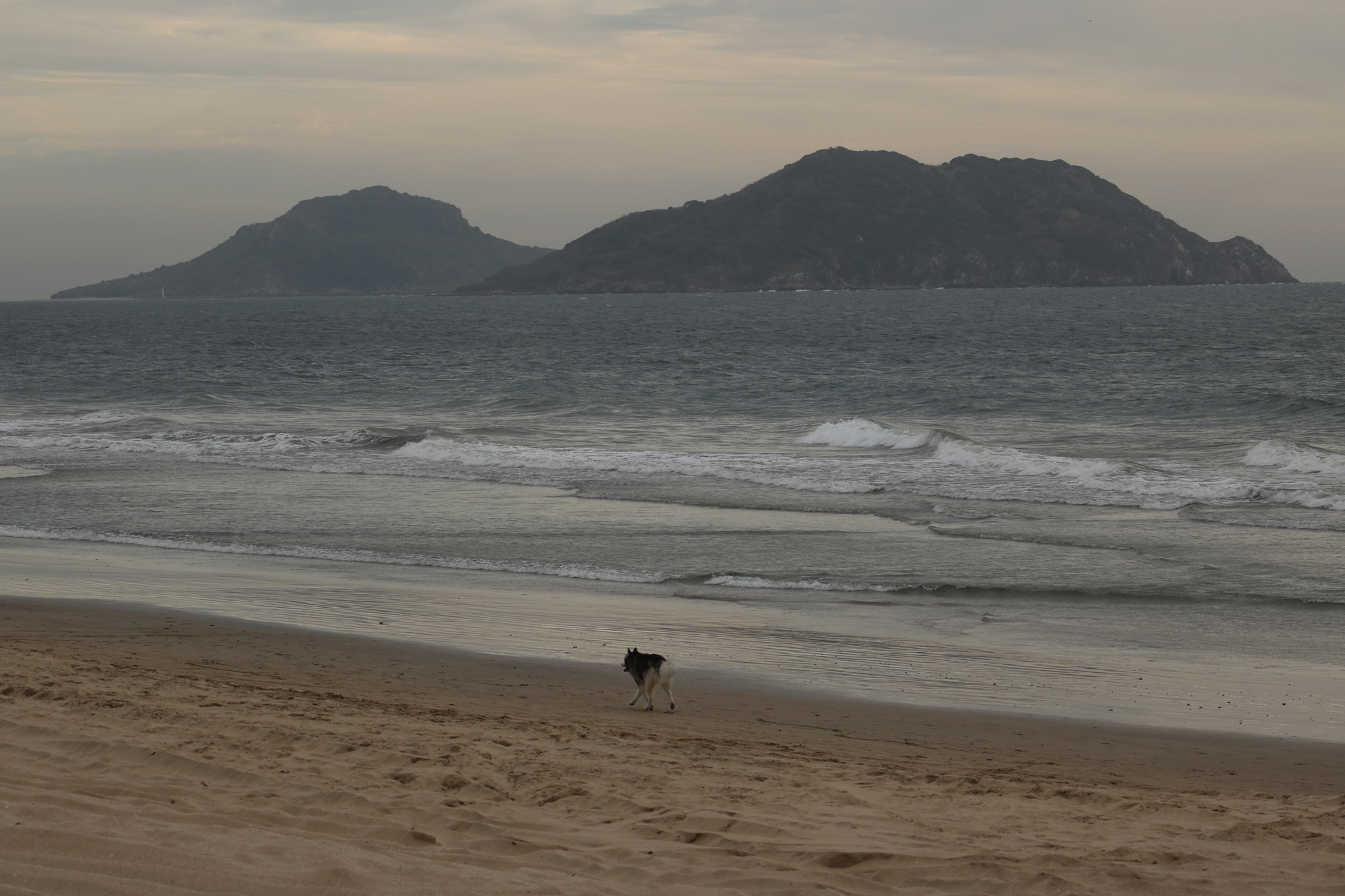 Canon EF 75-300mm f/4-5.6 USM sample photo