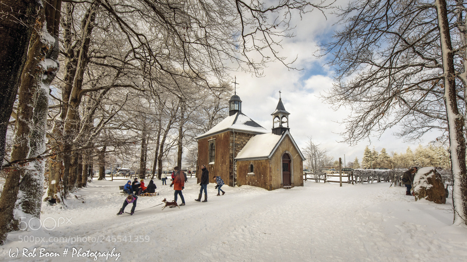 Canon EOS 5DS sample photo. Winter @ botrange 22 photography