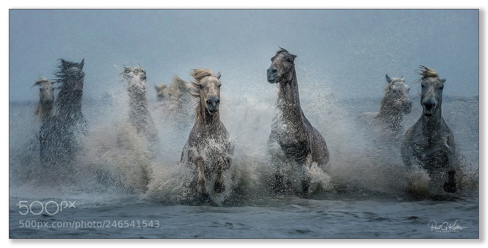 Canon EOS-1D X sample photo. Out during heavy storm .... photography