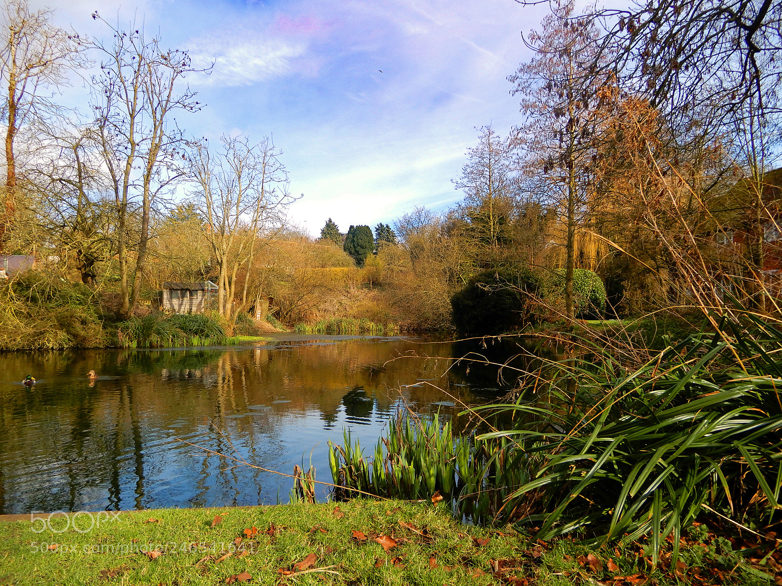 Nikon Coolpix A900 sample photo. Ewelme village pond photography