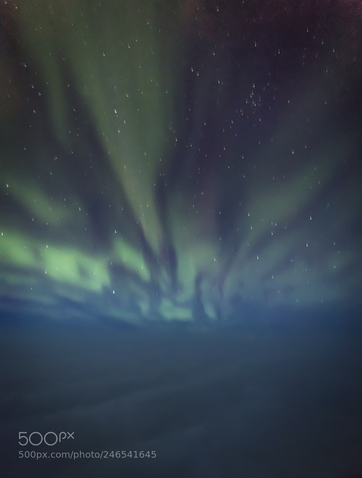 Nikon D5 sample photo. Northern lights photography