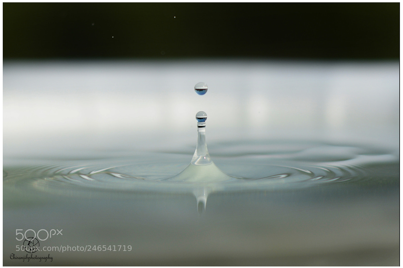 Nikon D5200 sample photo. Little universe photography