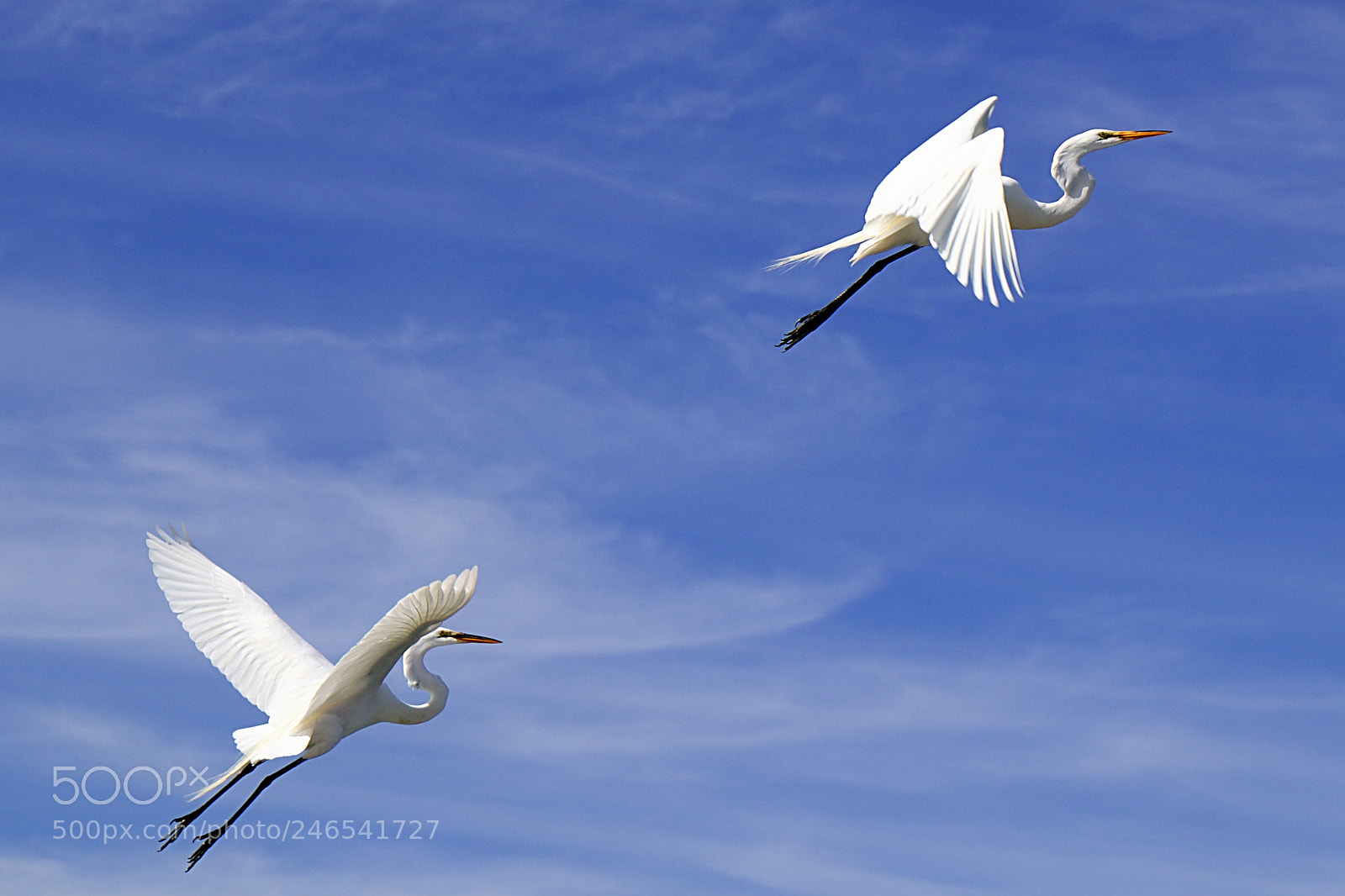 Canon EOS 77D (EOS 9000D / EOS 770D) sample photo. Dual flight photography