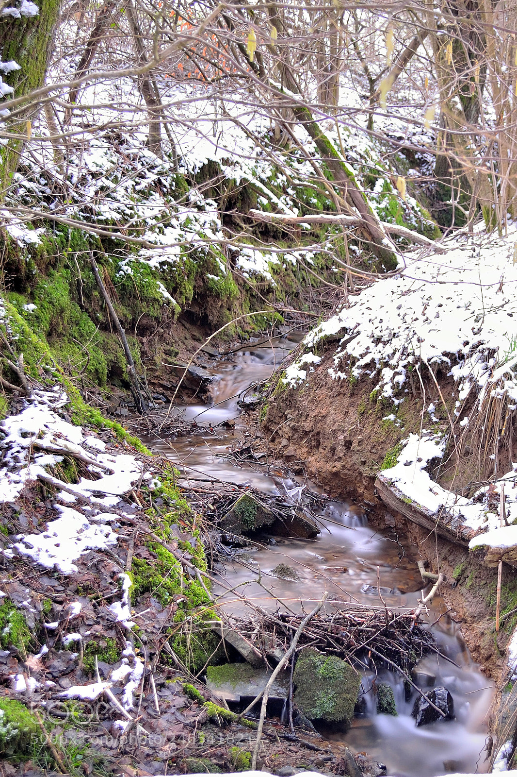 Nikon D3100 sample photo. Thaw photography