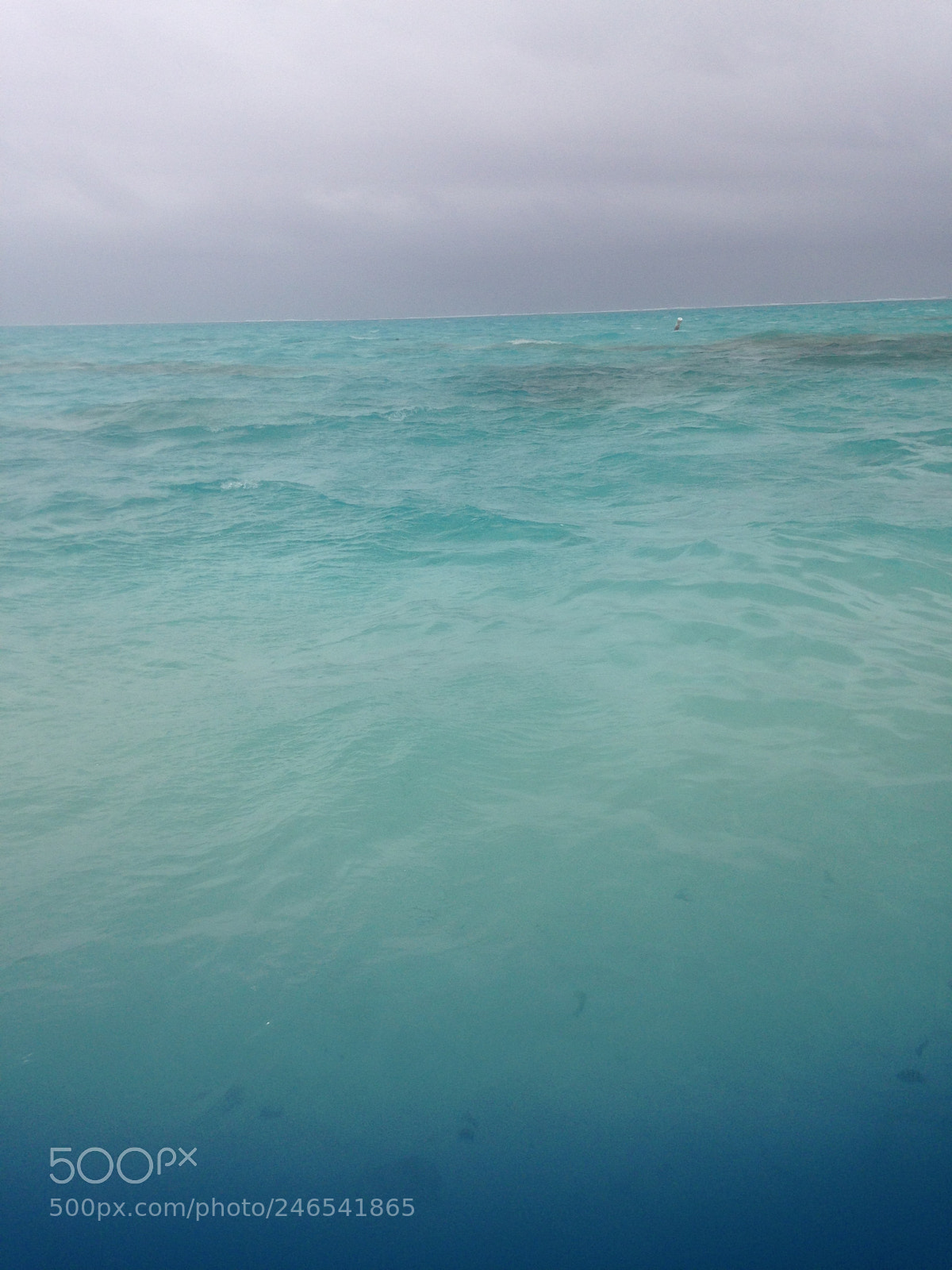 Apple iPhone 5c sample photo. Color azul marino del photography