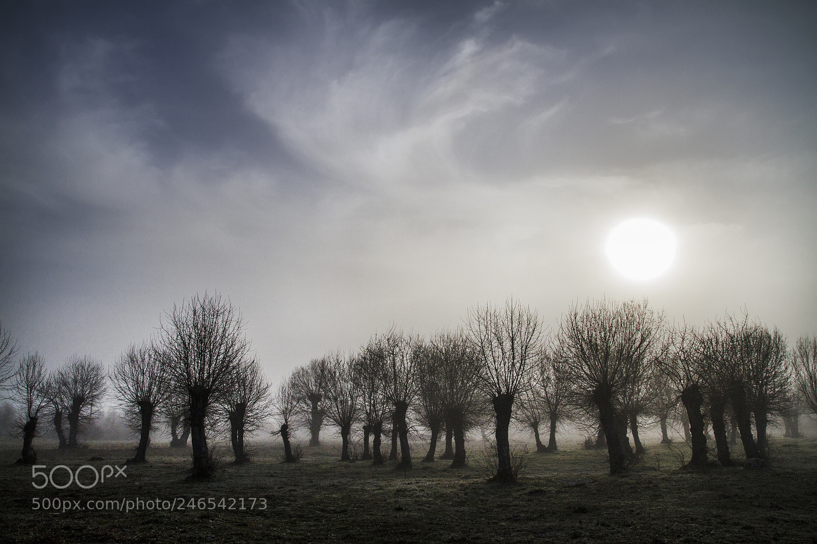 Canon EOS 7D sample photo. Winter army photography