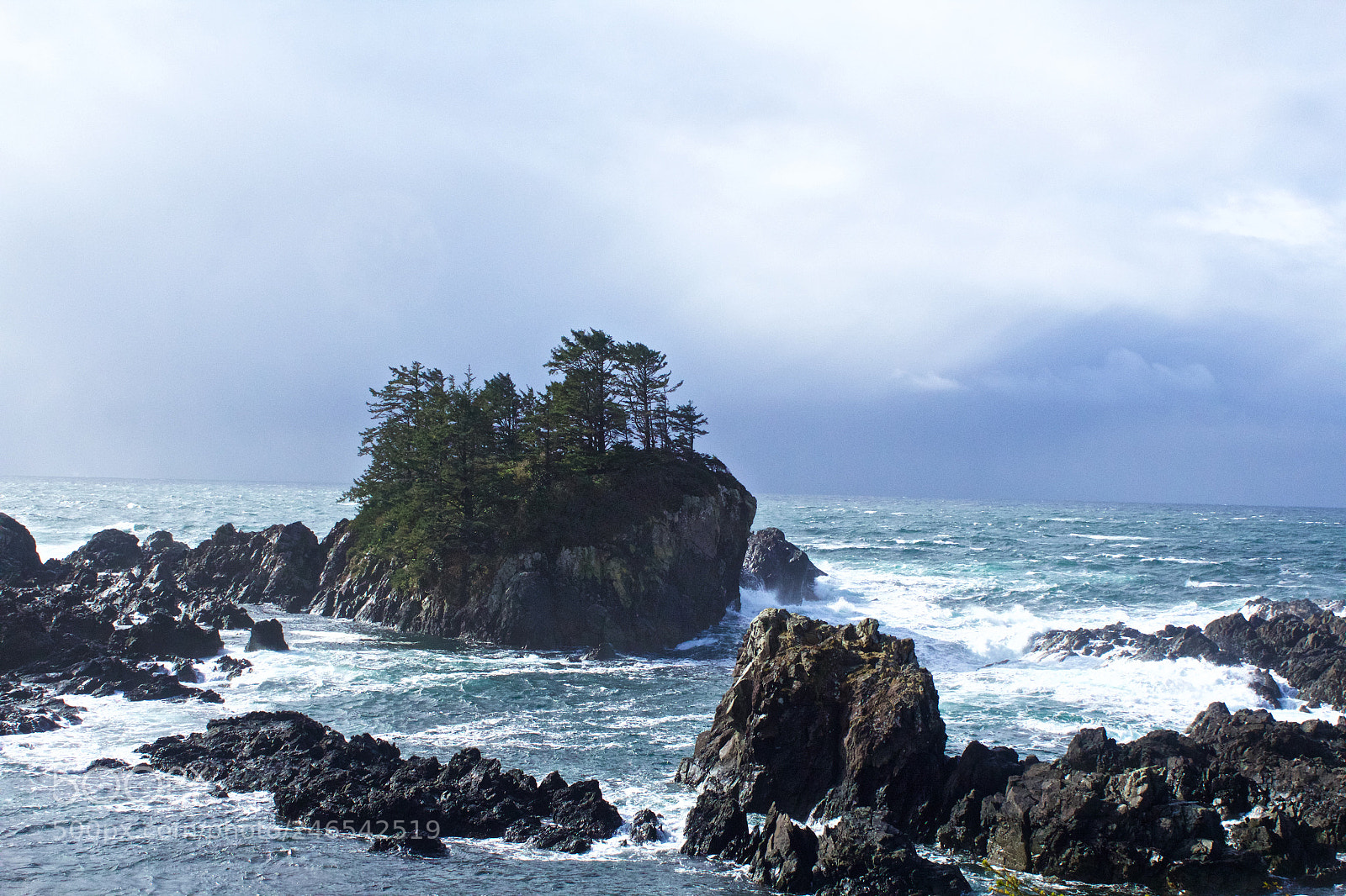 Canon EOS 600D (Rebel EOS T3i / EOS Kiss X5) sample photo. Vancouver island photography
