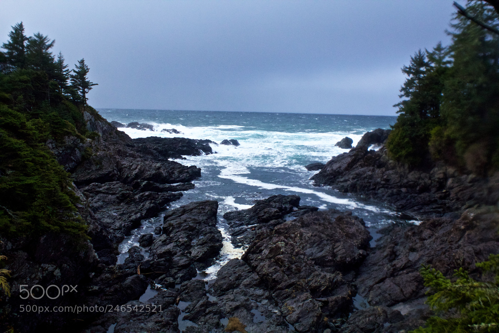 Canon EOS 600D (Rebel EOS T3i / EOS Kiss X5) sample photo. Vancouver island photography