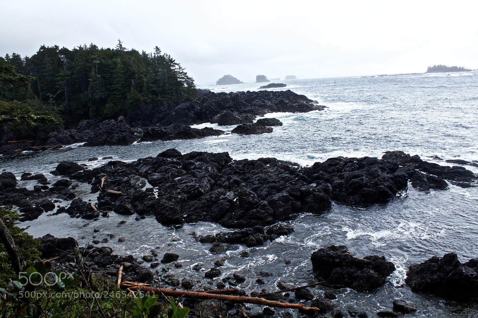 Canon EOS 600D (Rebel EOS T3i / EOS Kiss X5) sample photo. Vancouver island photography