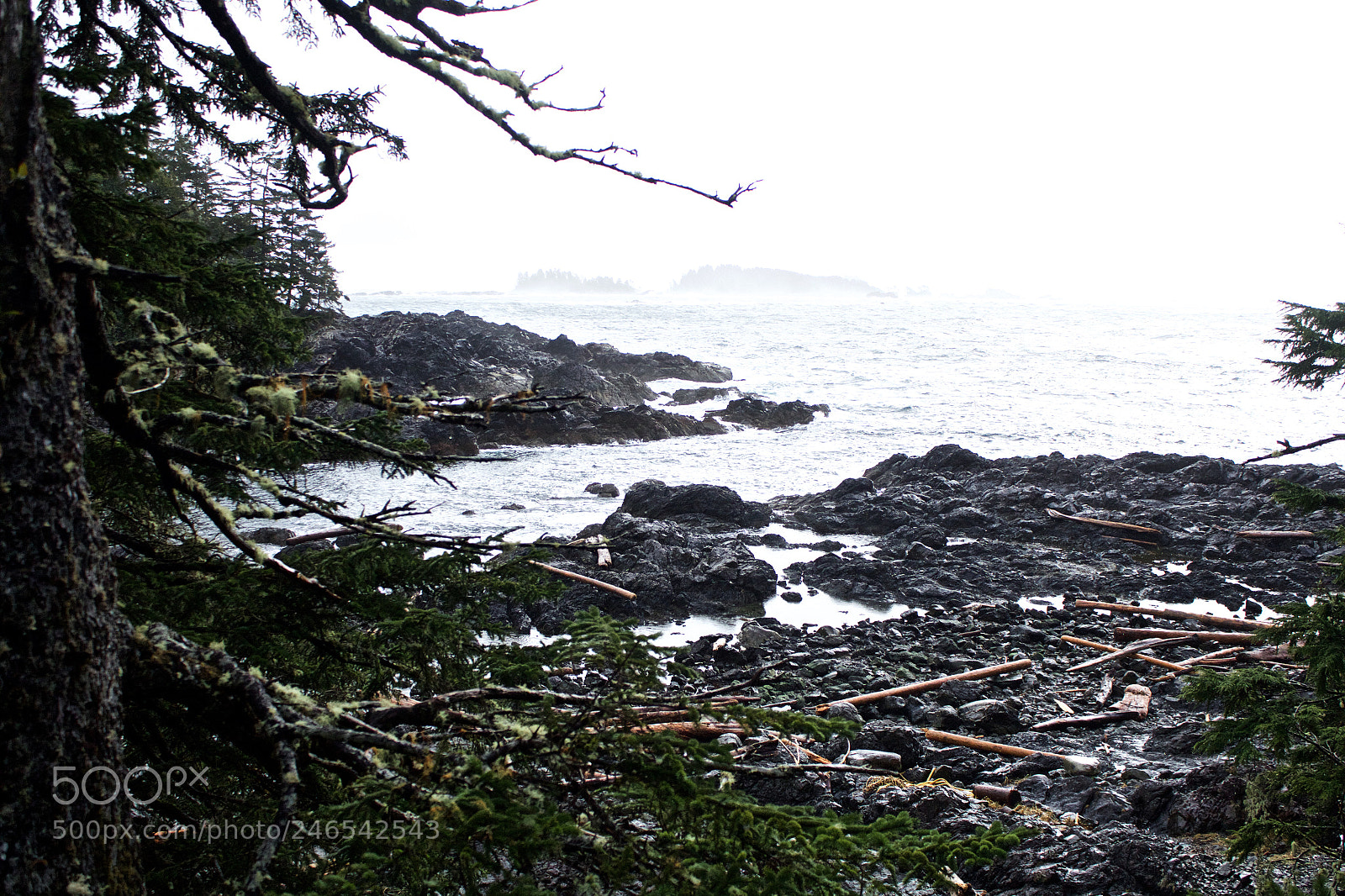 Canon EOS 600D (Rebel EOS T3i / EOS Kiss X5) sample photo. Vancouver island photography