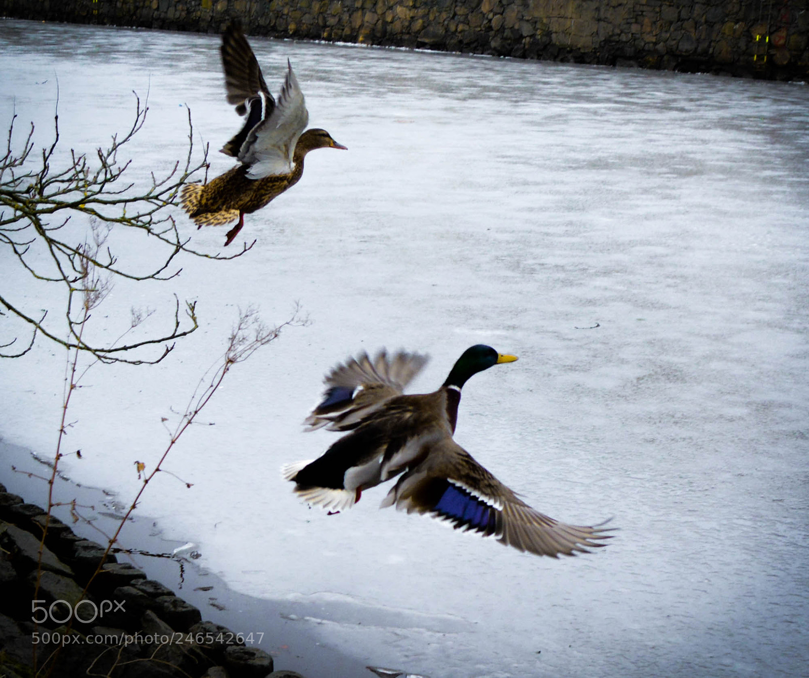 Nikon D5200 sample photo. Take of. photography