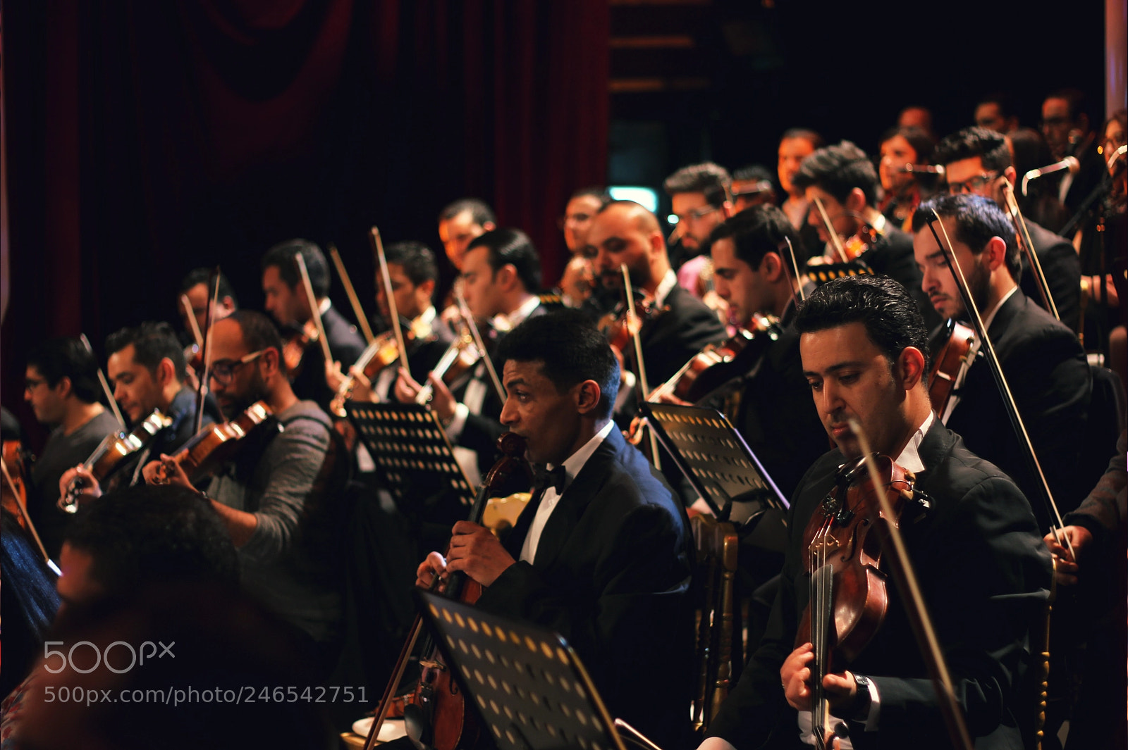 Canon EOS 600D (Rebel EOS T3i / EOS Kiss X5) sample photo. Tunisian orchestra photography