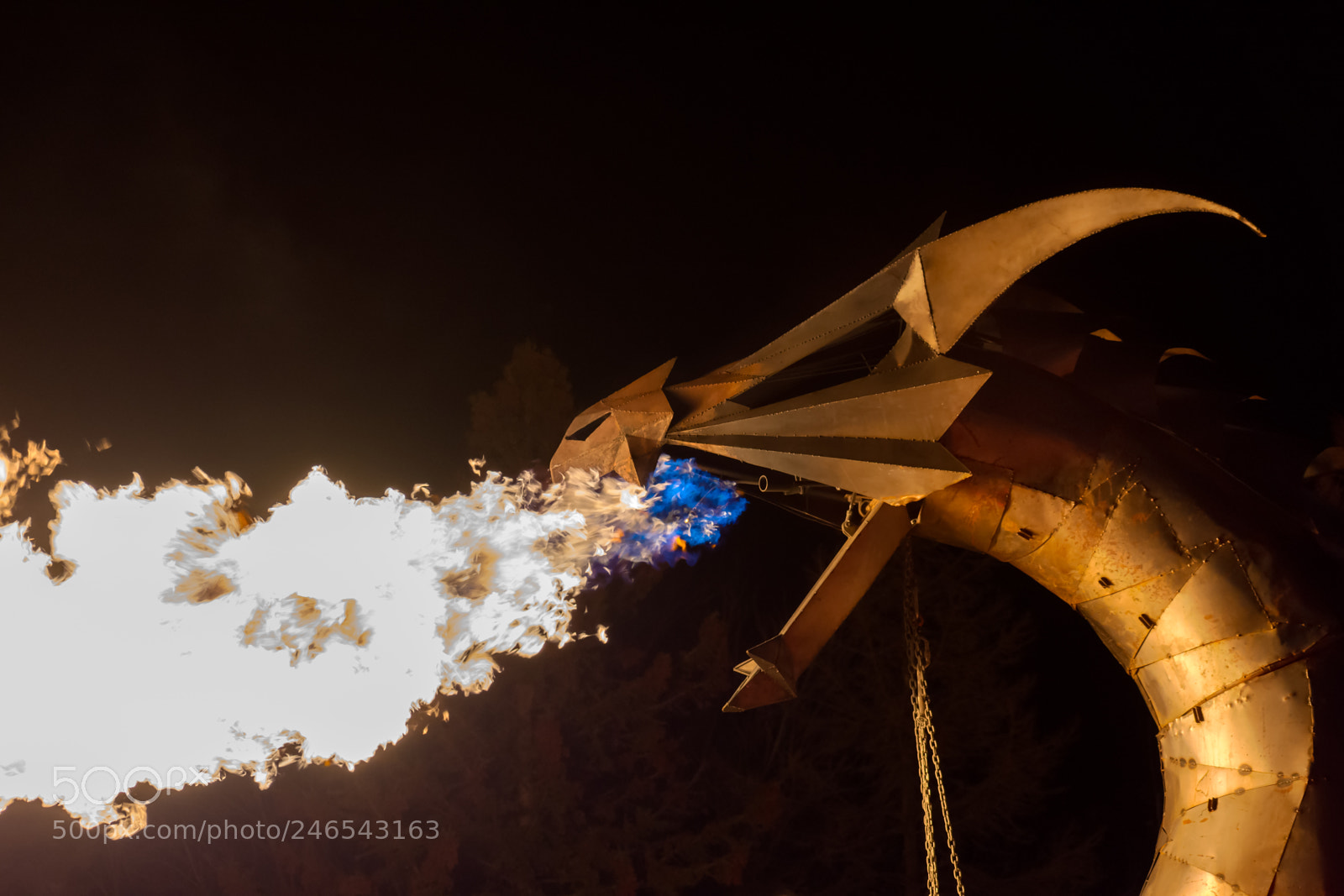 Nikon D7200 sample photo. Burninating photography