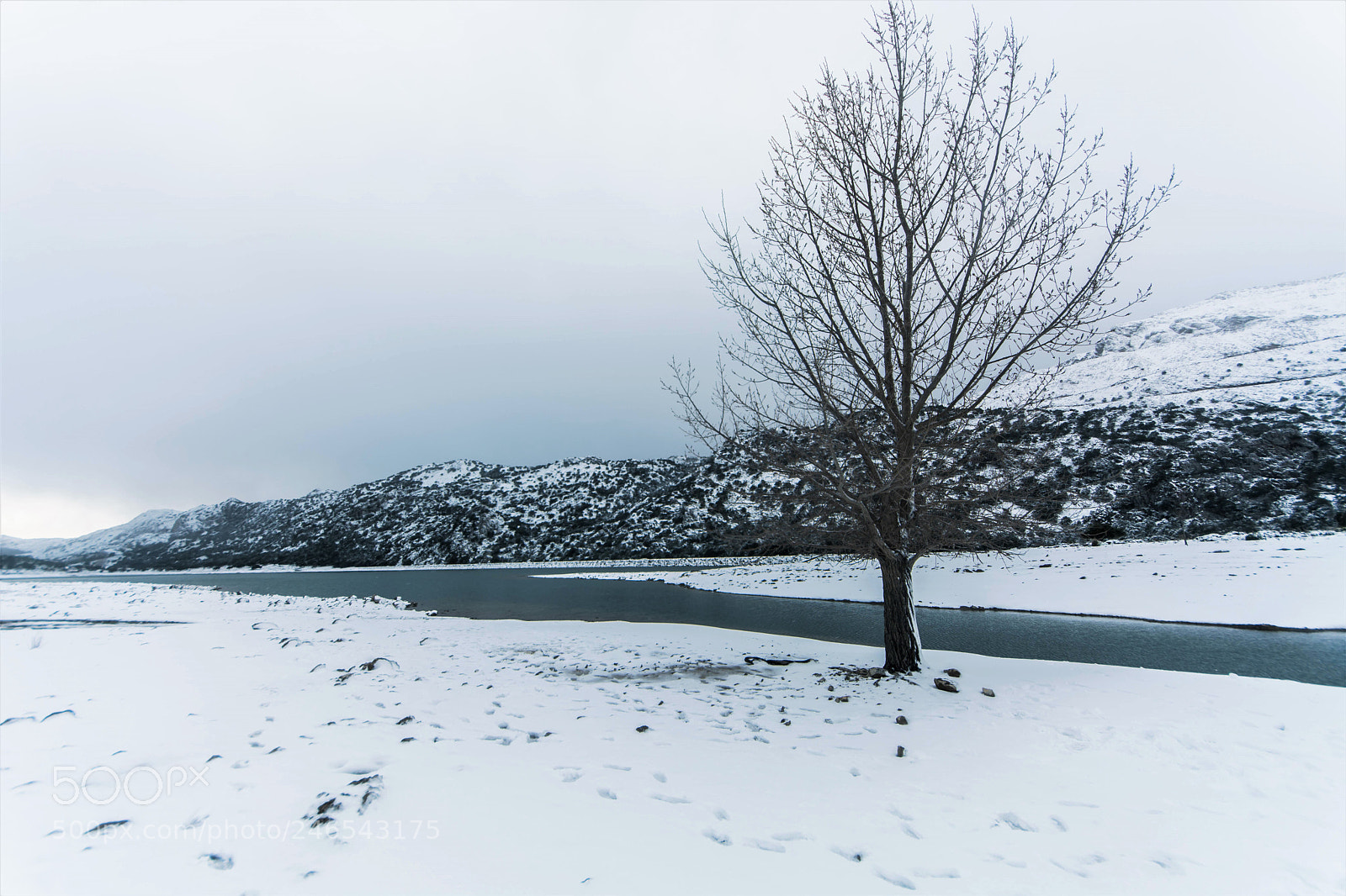 Nikon D7100 sample photo. Winter photography