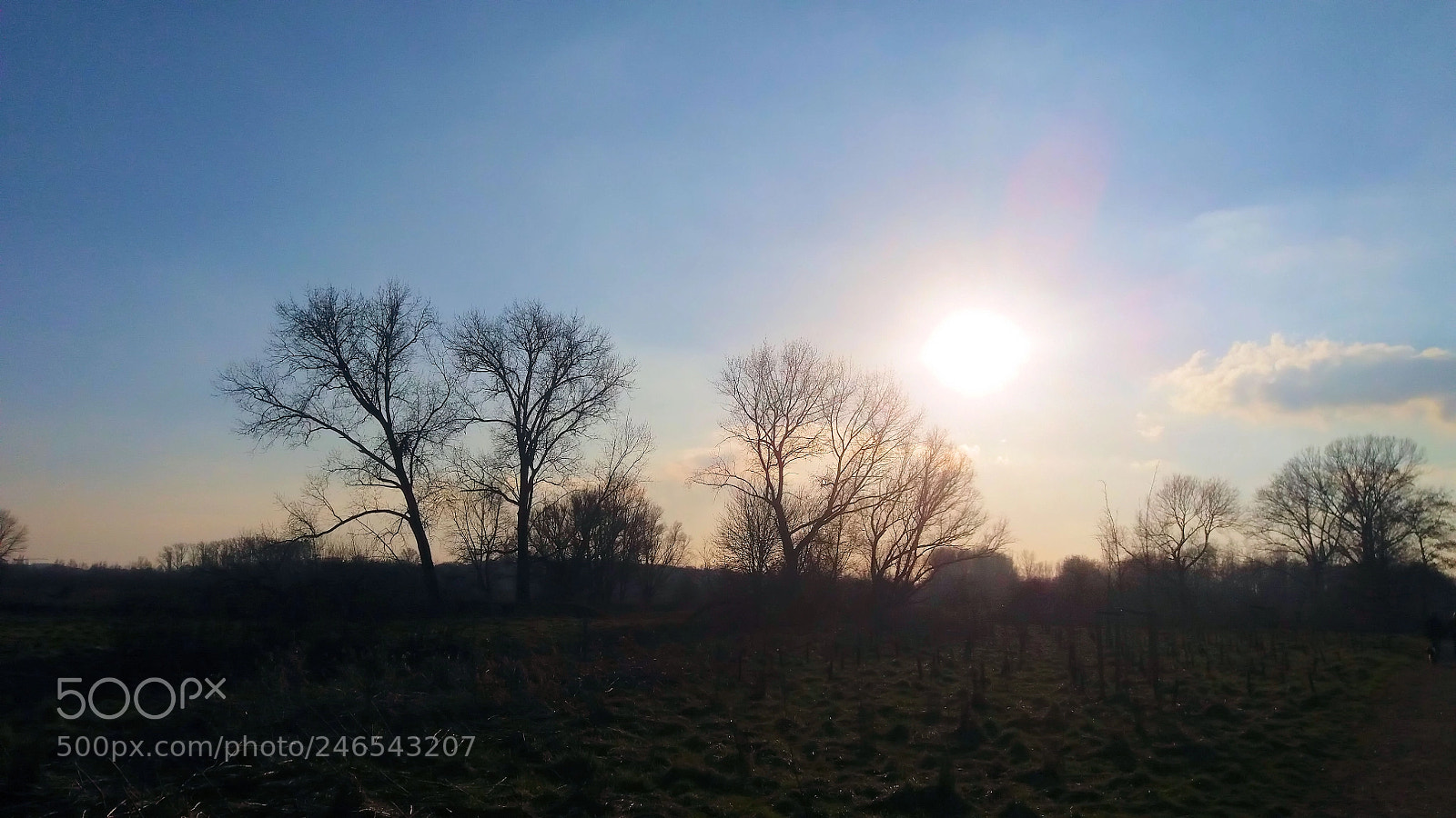 Samsung Galaxy J5 sample photo. Gentbrugse meersen photography