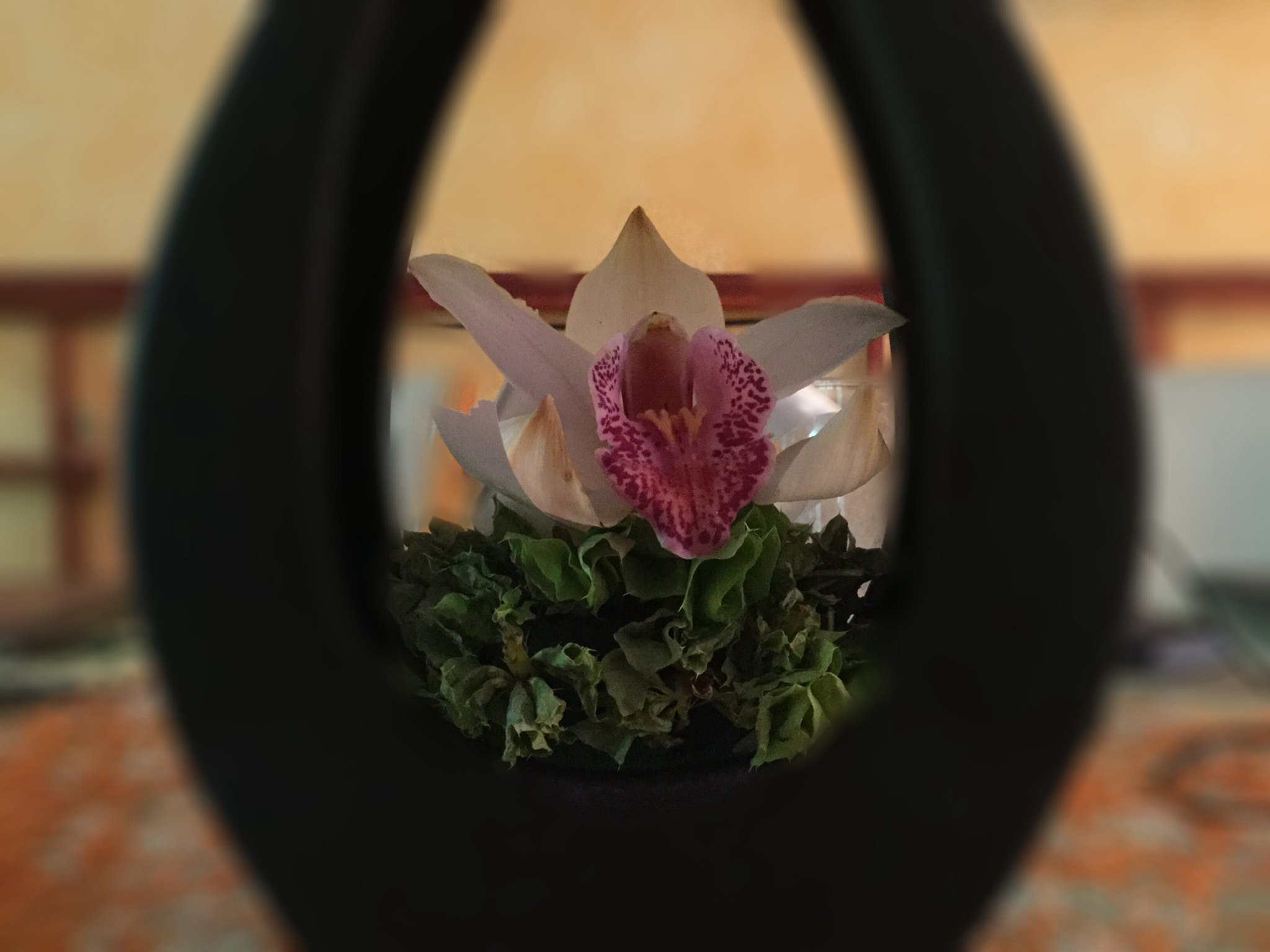 Apple iPad mini 4 sample photo